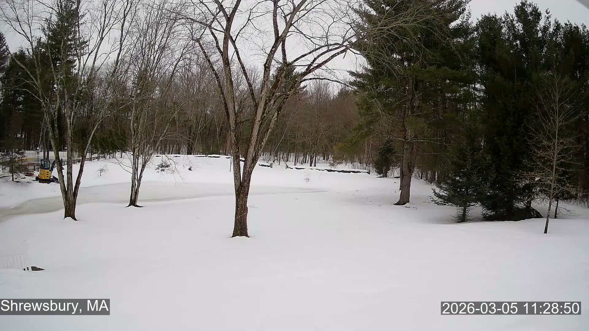 Scenic Pond and Trees Live Cam - Shrewsbury, Massachusetts , USA