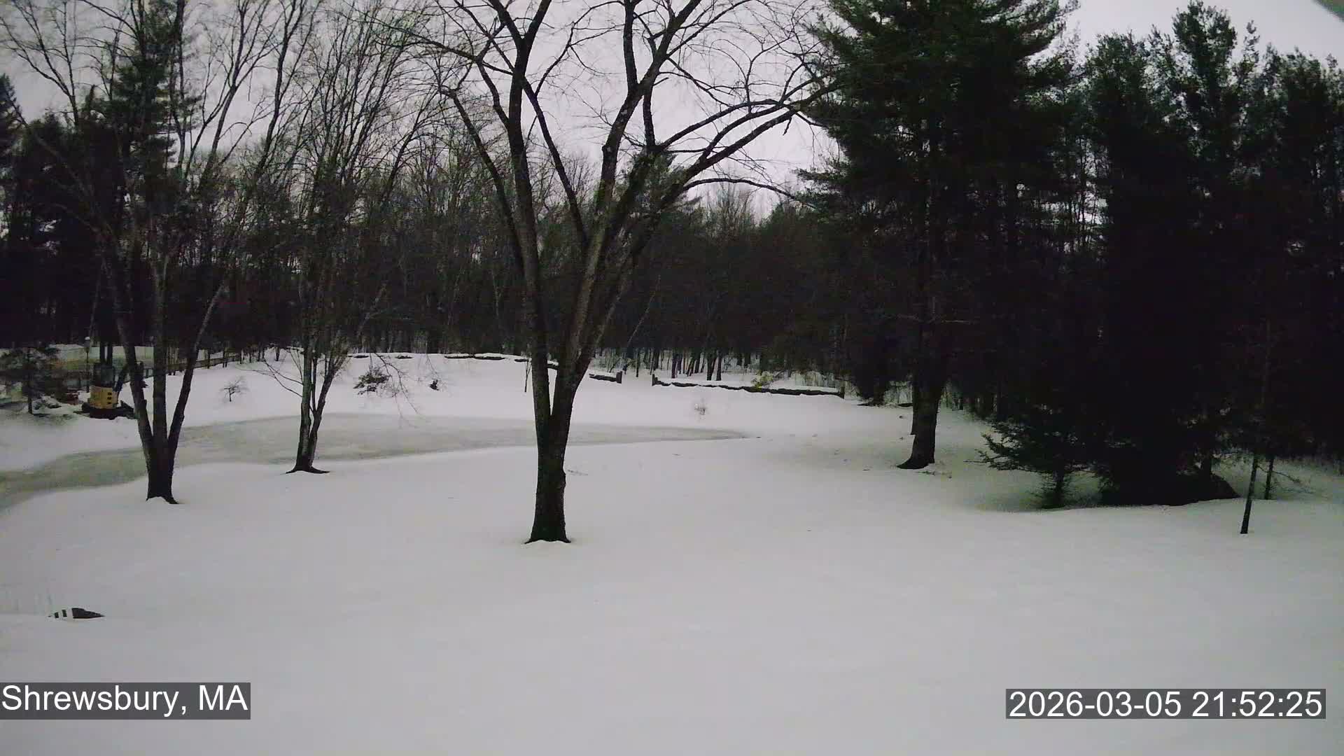 Scenic Pond and Trees Live Cam - Shrewsbury, Massachusetts , USA