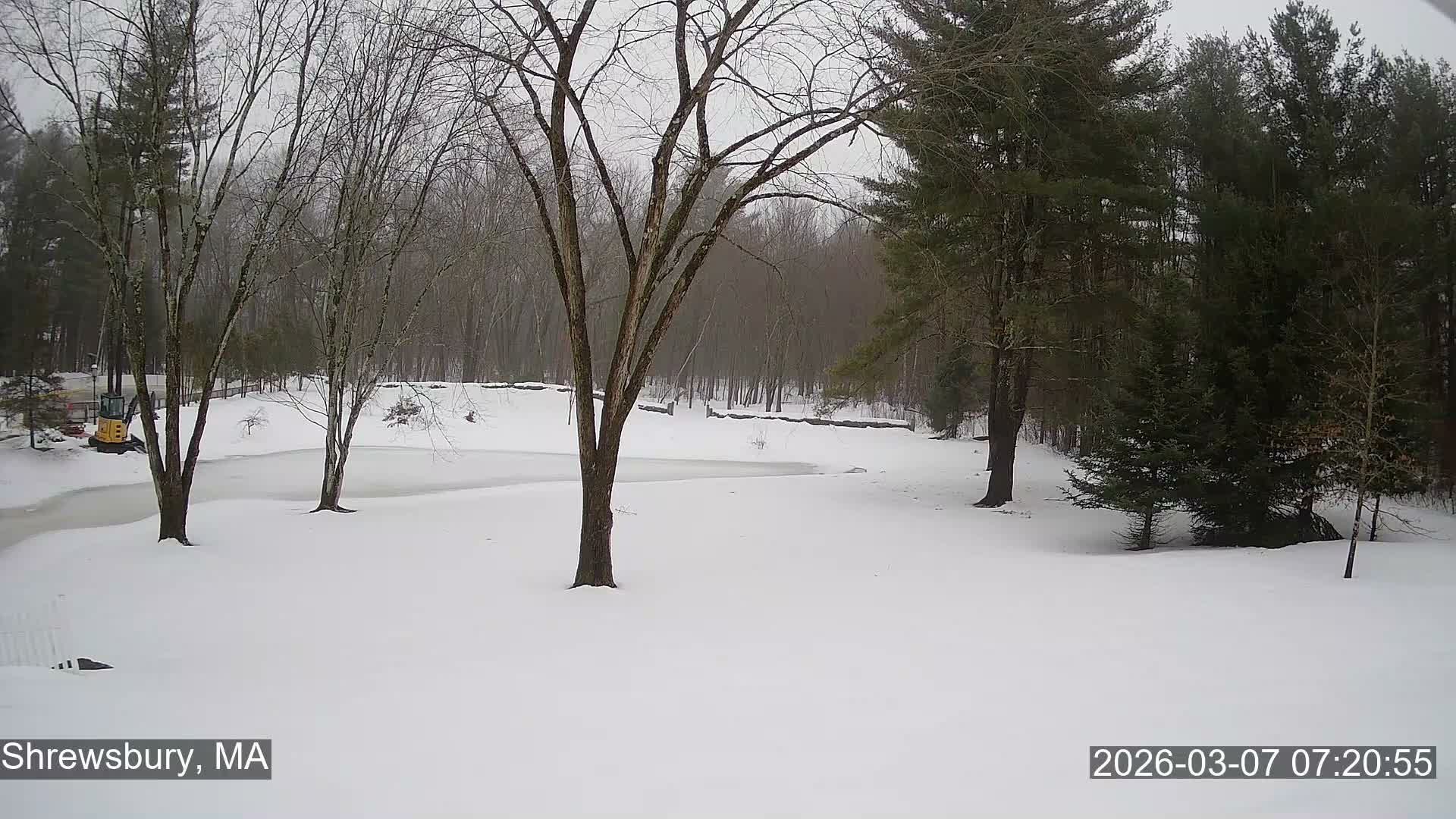 Scenic Pond and Trees Live Cam - Shrewsbury, Massachusetts , USA