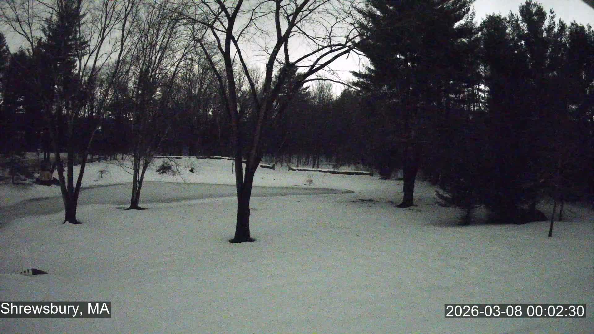 Scenic Pond and Trees Live Cam - Shrewsbury, Massachusetts , USA