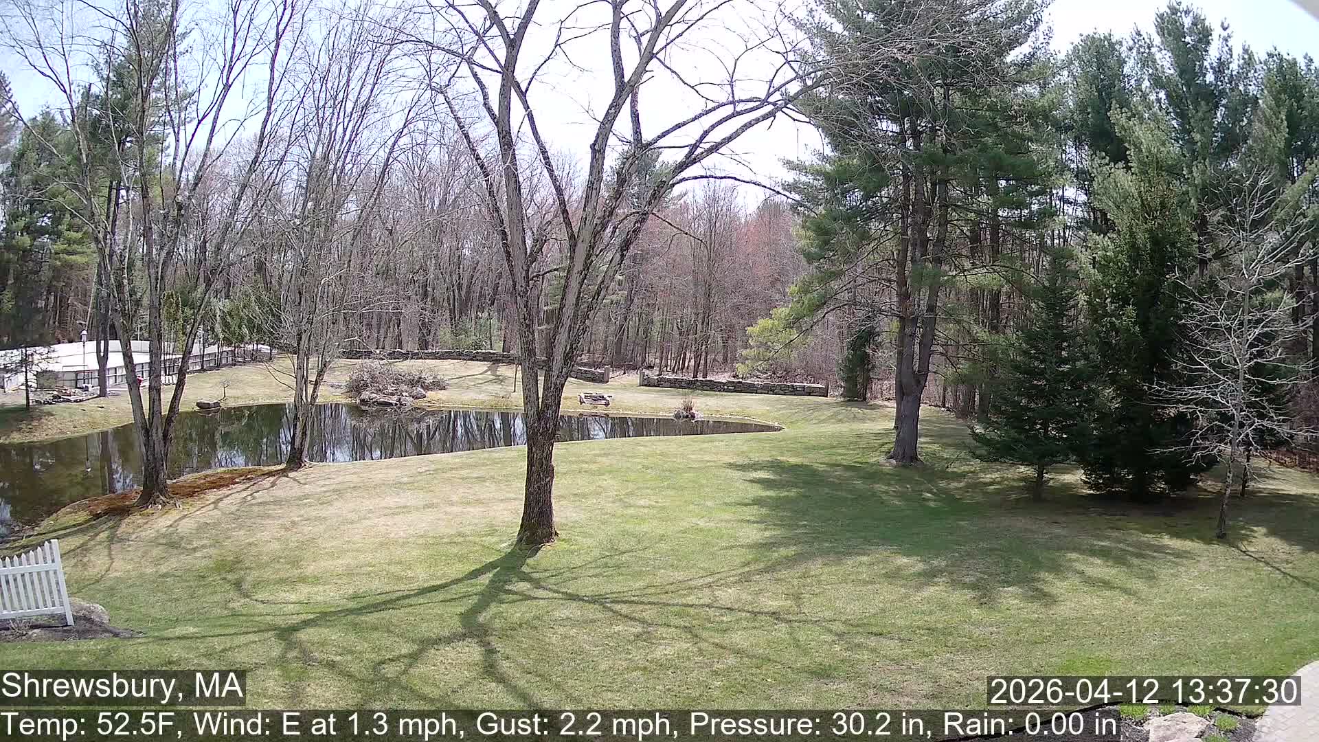 Scenic Pond and Trees Live Cam - Shrewsbury, Massachusetts , USA