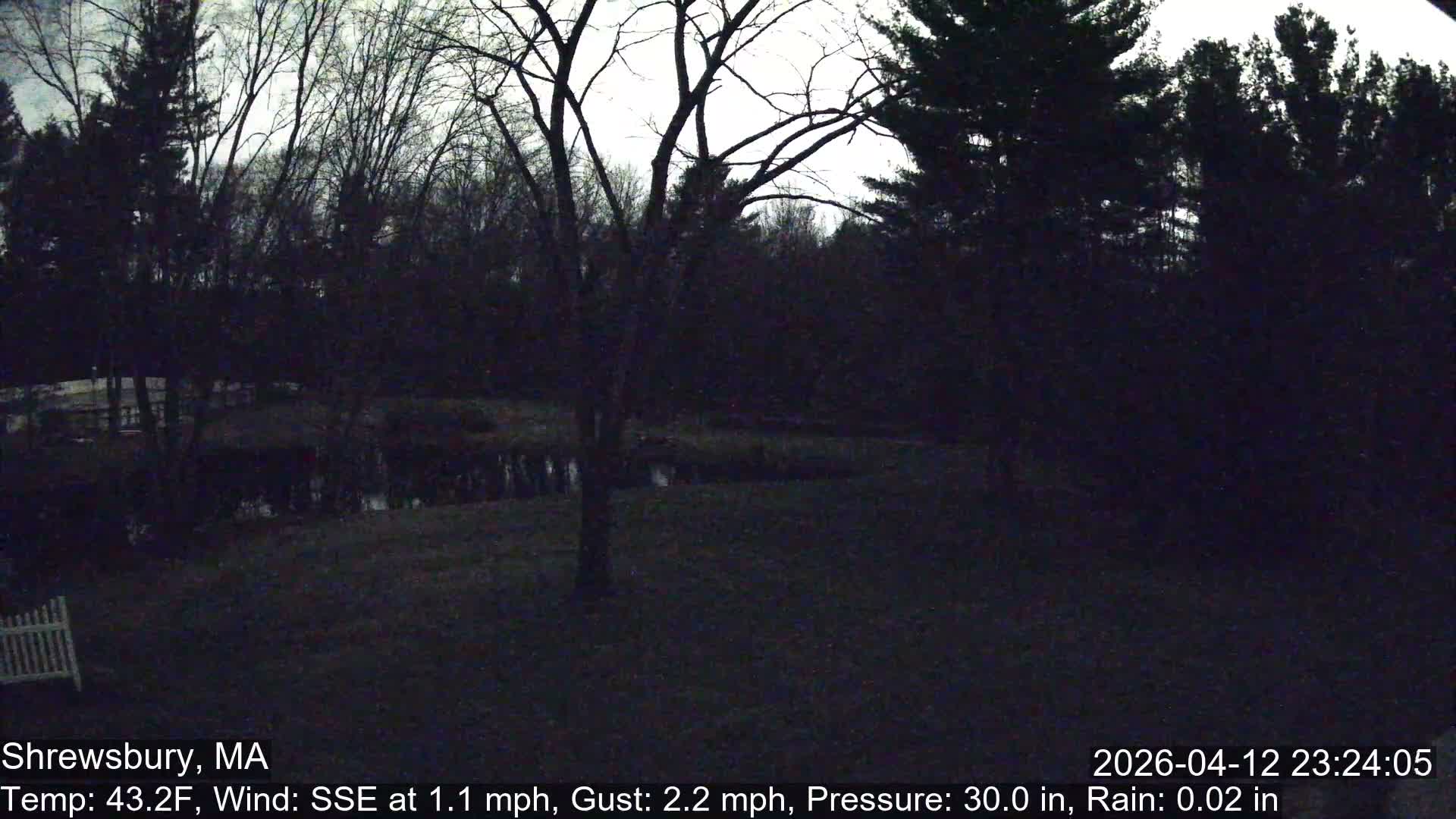 Scenic Pond and Trees Live Cam - Shrewsbury, Massachusetts , USA