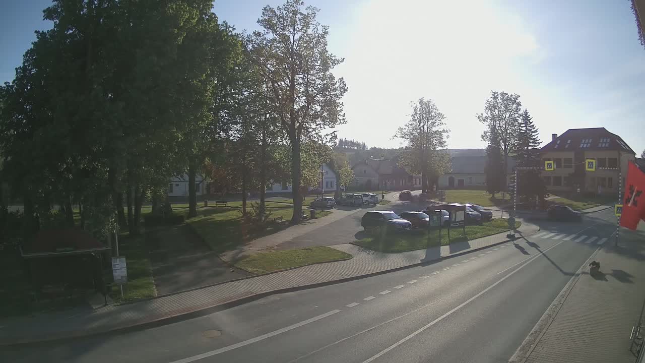A sunny day reveals a village square with parked cars, a grassy area, and trees, next to a road with a pedestrian crossing.