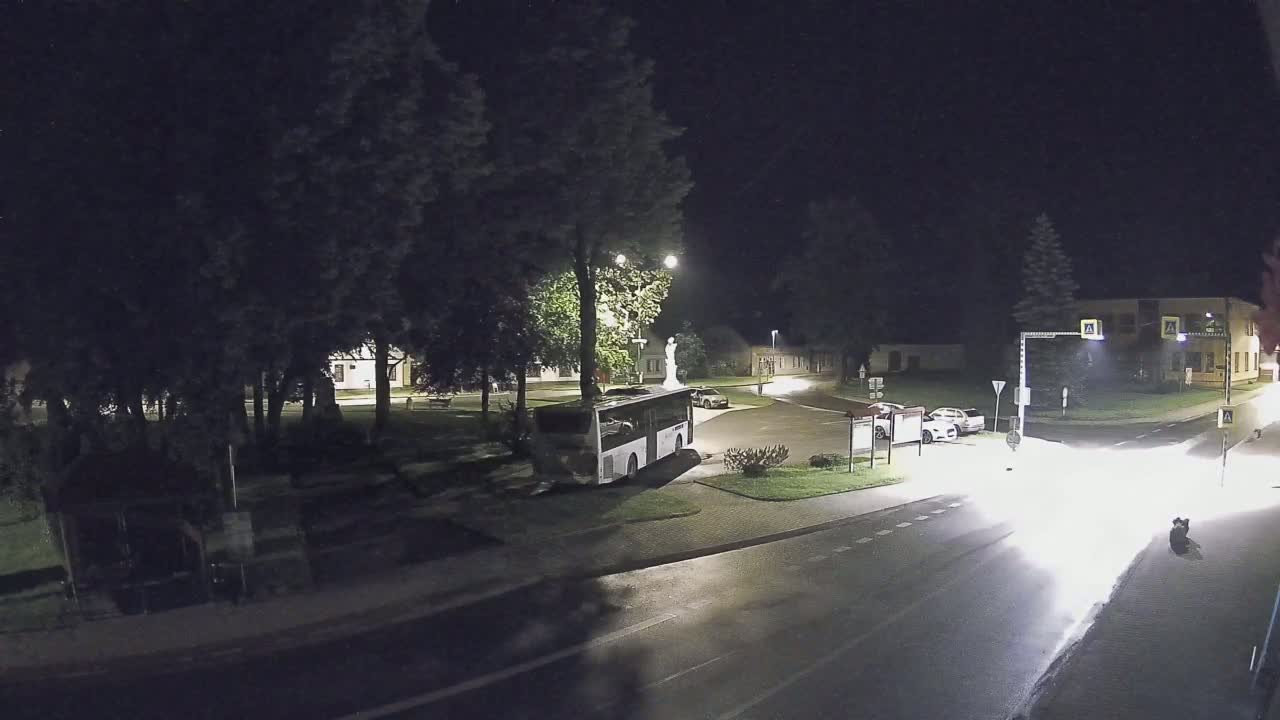 A bus is parked in a village square at night, with several cars nearby and streetlights illuminating a wet road.