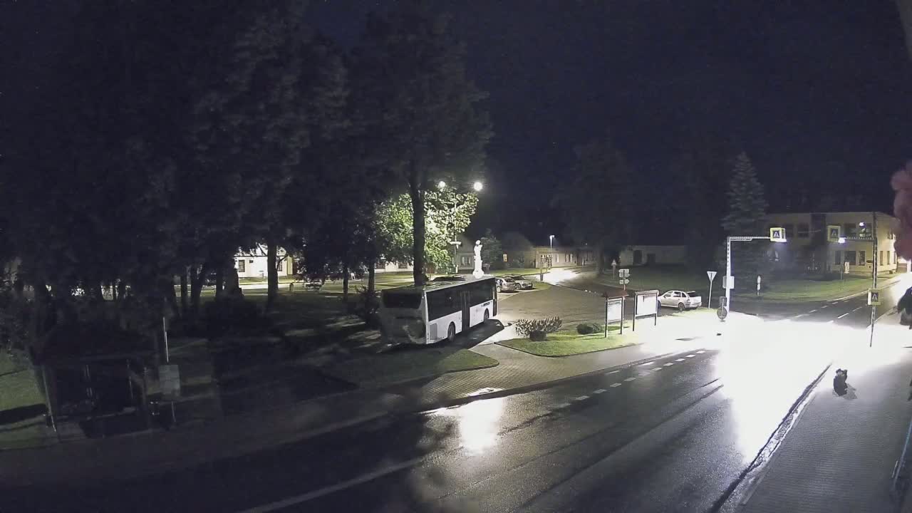 A bus is parked in a town square at night in wet conditions, with a few cars visible and some buildings in the background.