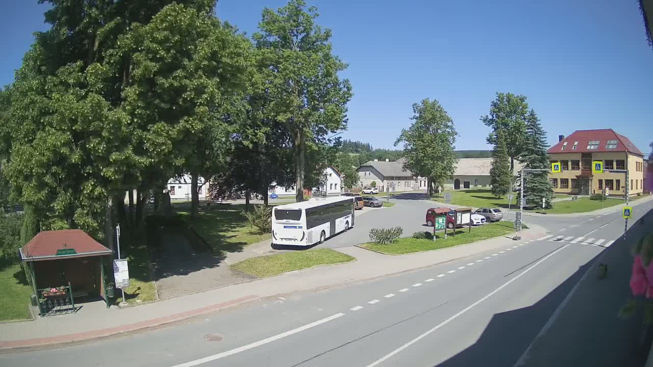 A white bus is parked in a village square on a sunny day, with several cars and buildings visible, surrounded by green trees and grass.