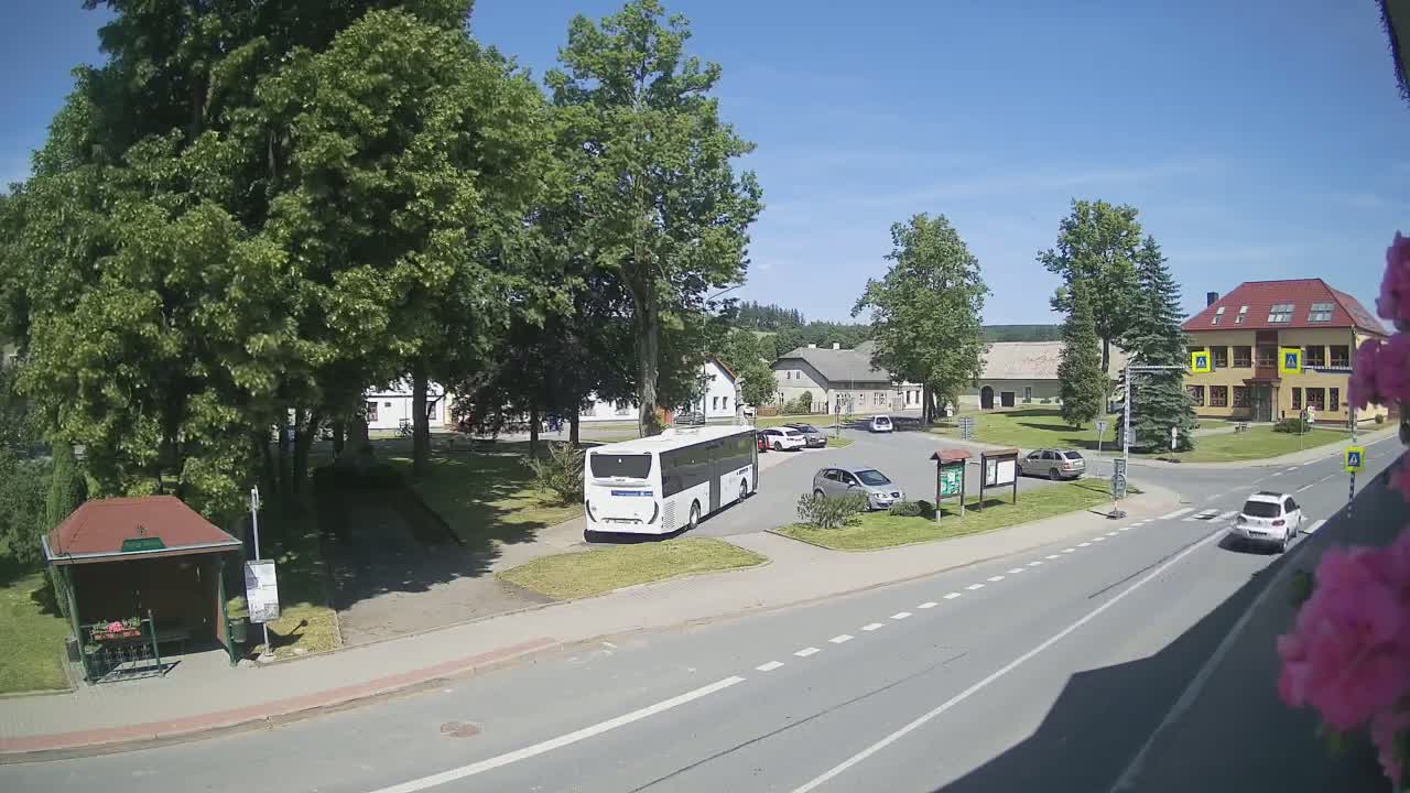 A white bus is parked in a village square on a sunny day, surrounded by several cars, buildings, and lush green trees.
