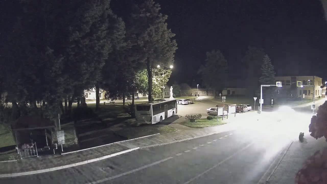 Vojnův Městec Village Live Cam - Vojnuv Mestec, Zdar nad Sazavou, Kraj Vysocina, Czechia