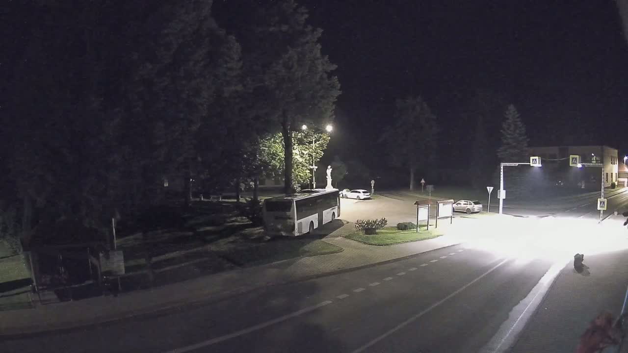A bus and two cars are parked in a small town square at night, under streetlights, near some trees and a statue.