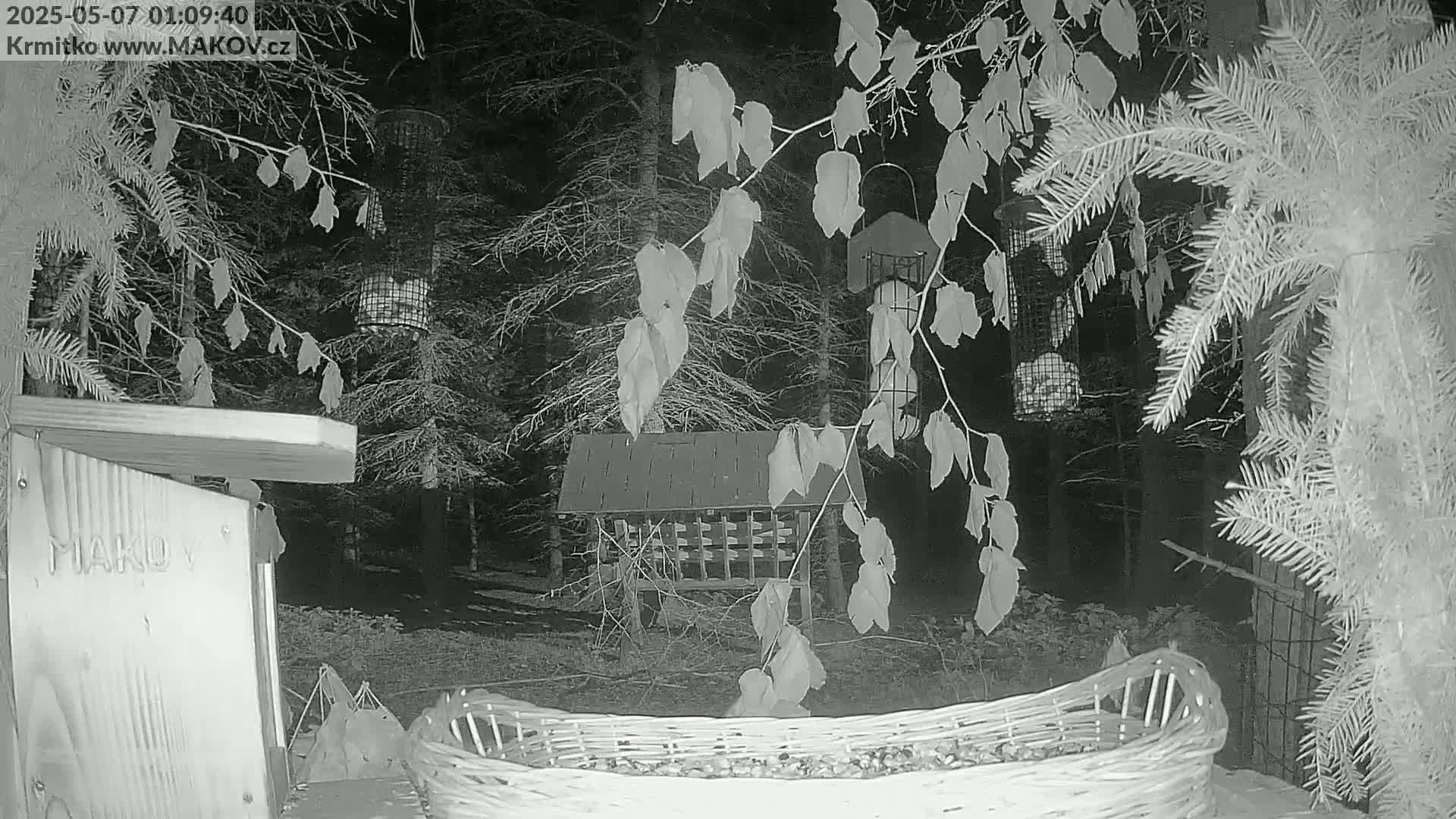 At night, in a wooded area, several animals are seen near various bird feeders and a wicker basket filled with food.