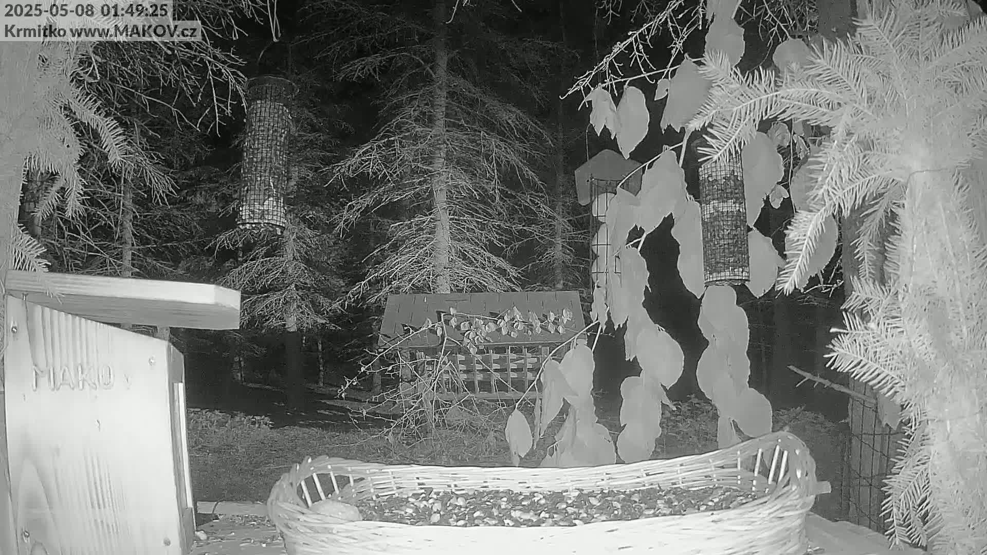 A wicker basket filled with seeds sits in front of several bird feeders hanging in a wooded area at night.