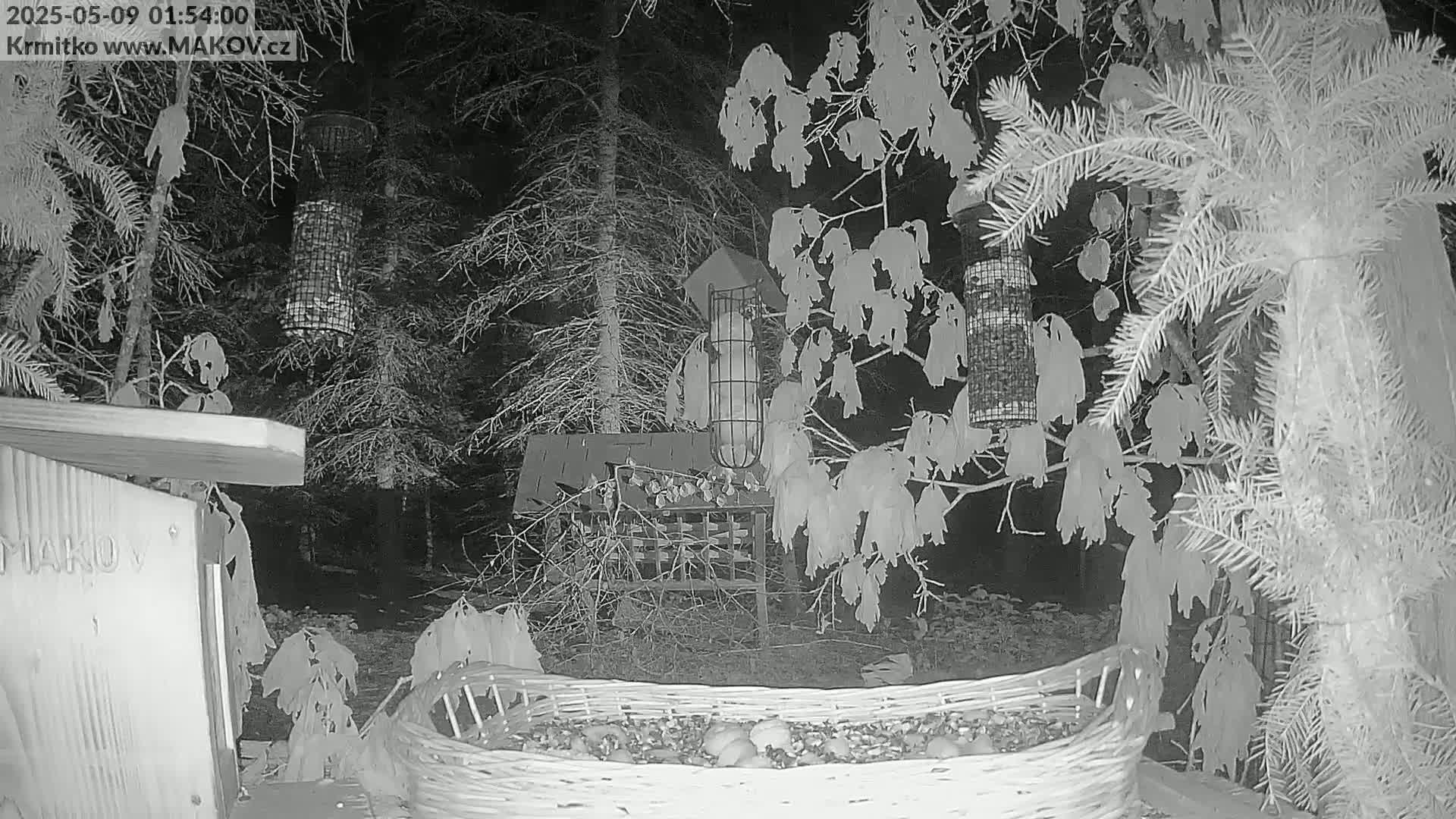 A nighttime, black-and-white image shows a bird feeder and a large basket of birdseed in a wooded area.