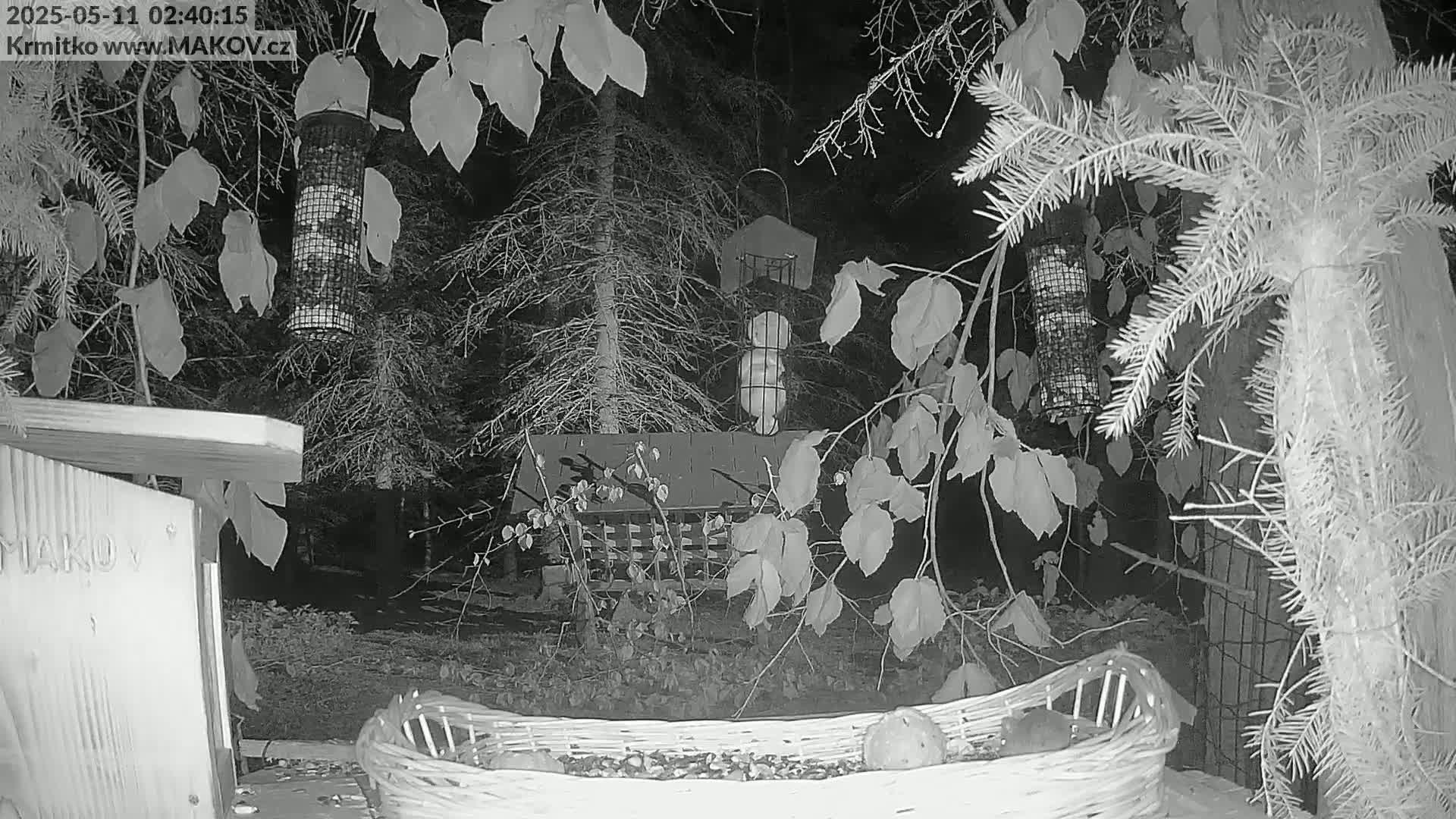 A nighttime, grayscale image shows several bird feeders and a bird bath in a wooded area, with birds gathered around a wicker basket on the ground.