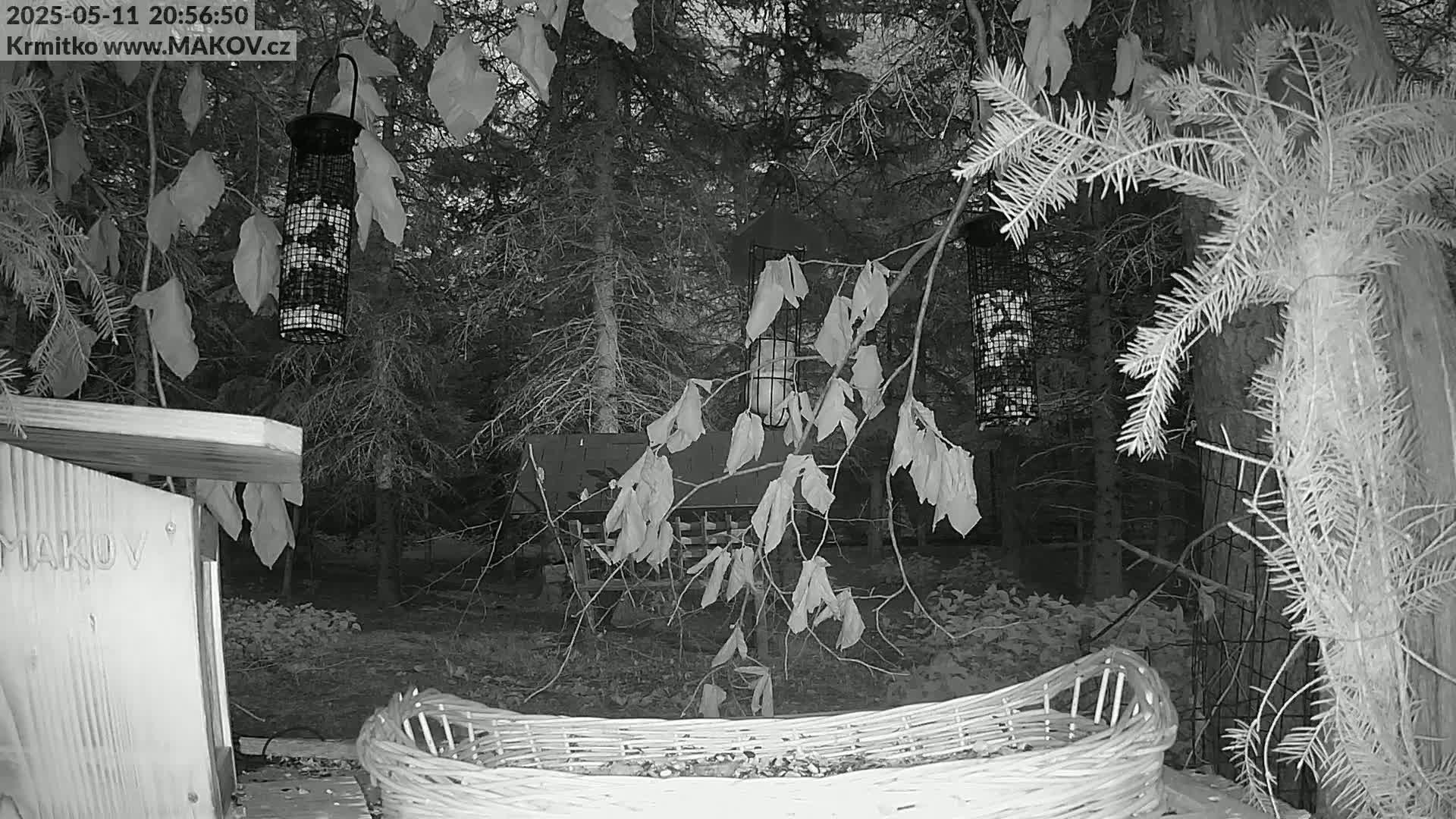 A nighttime, monochrome image shows a wooded backyard scene with bird feeders, a birdhouse, and a woven basket on the ground.