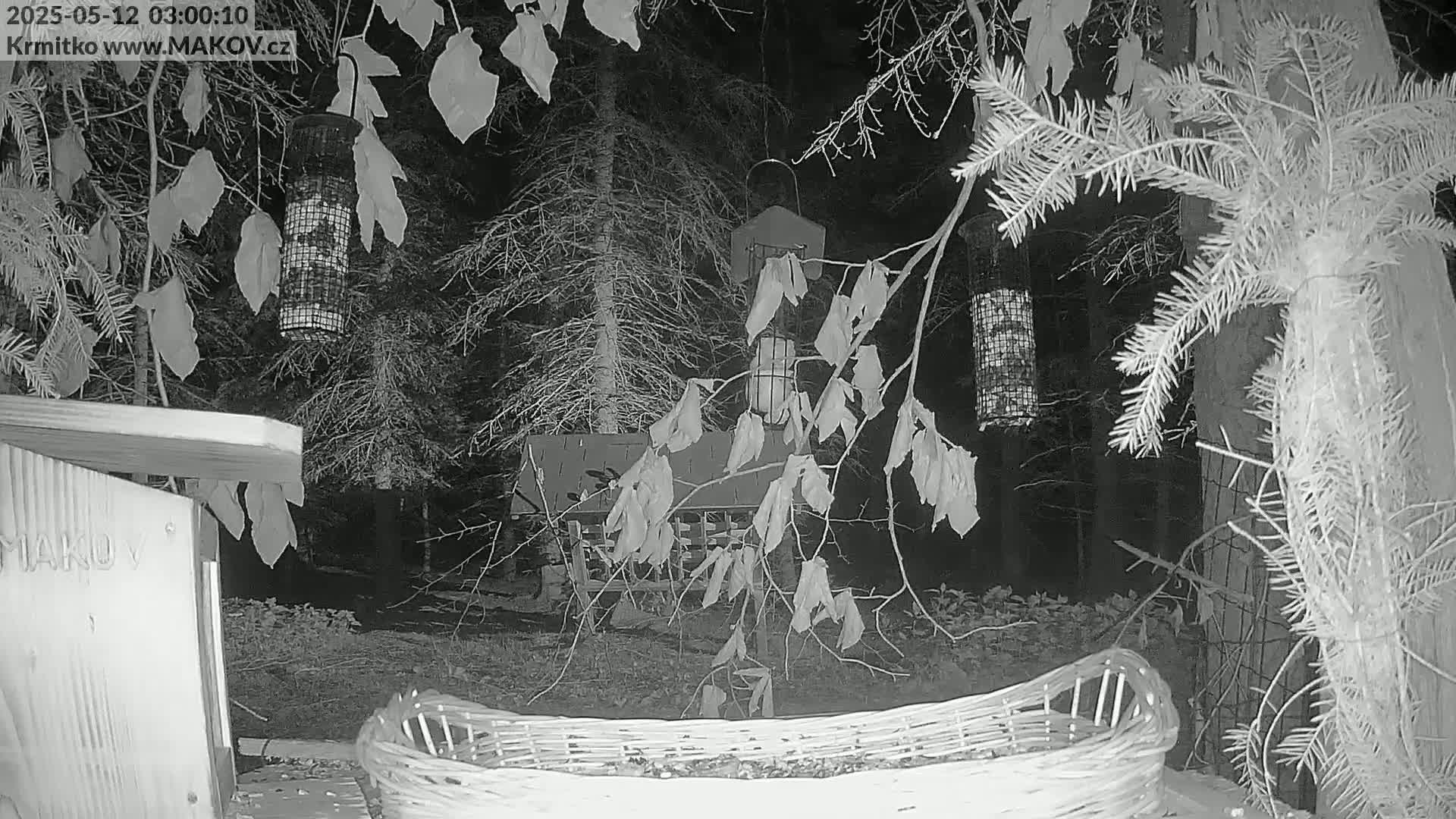 A nighttime, black and white image shows several bird feeders hanging from branches in a wooded area, with a birdhouse and a woven basket visible in the foreground on the ground, possibly covered in snow.