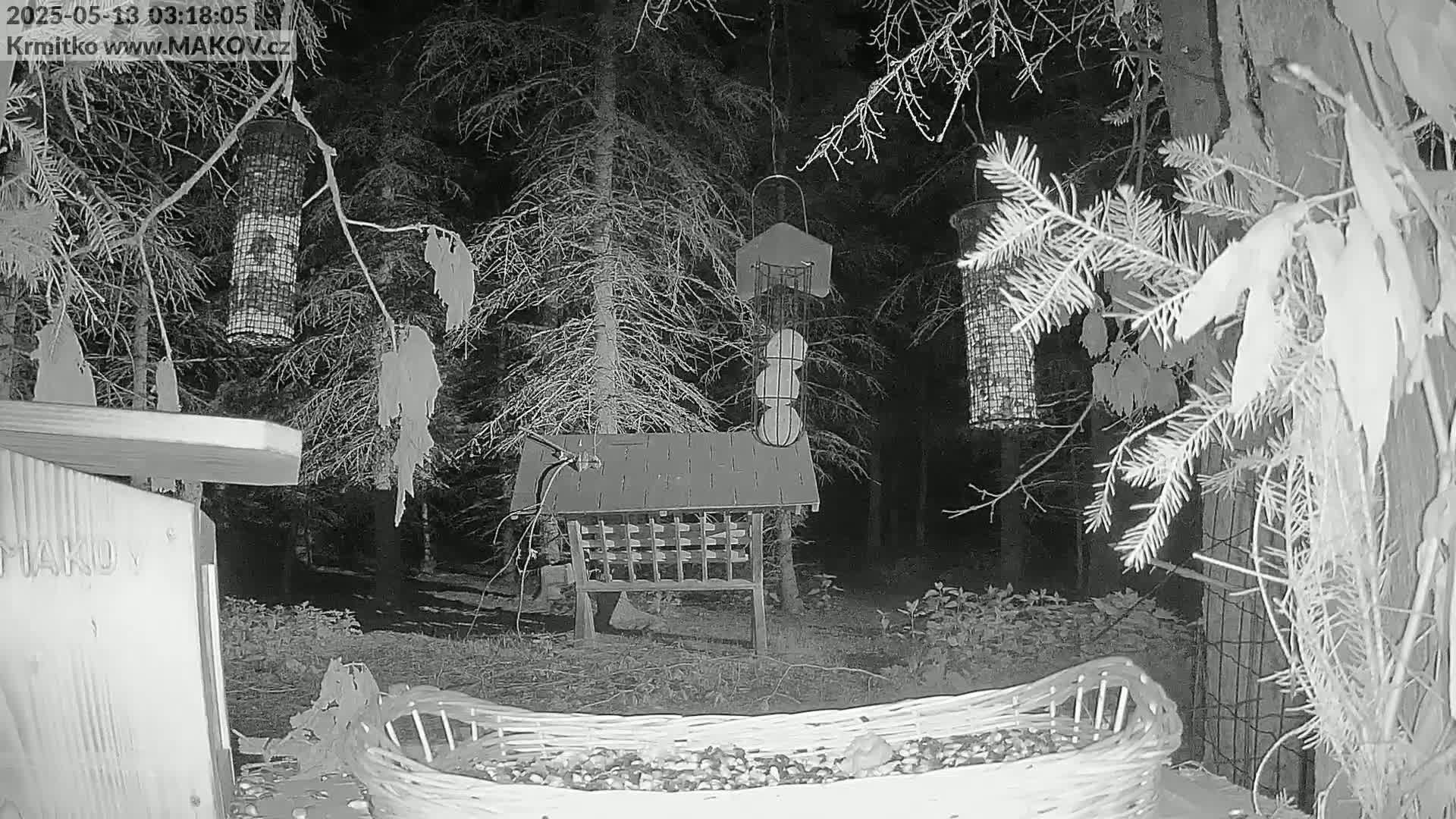 A nighttime, black-and-white image shows several bird feeders in a wooded area, with one large feeder on the ground filled with nuts.
