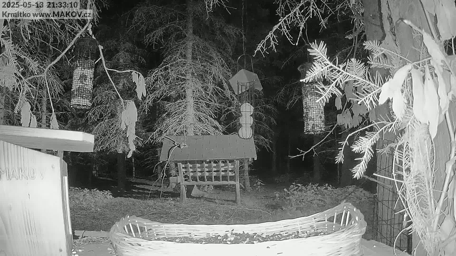A nighttime, grayscale image shows several bird feeders and a large woven basket on the ground in a wooded area.