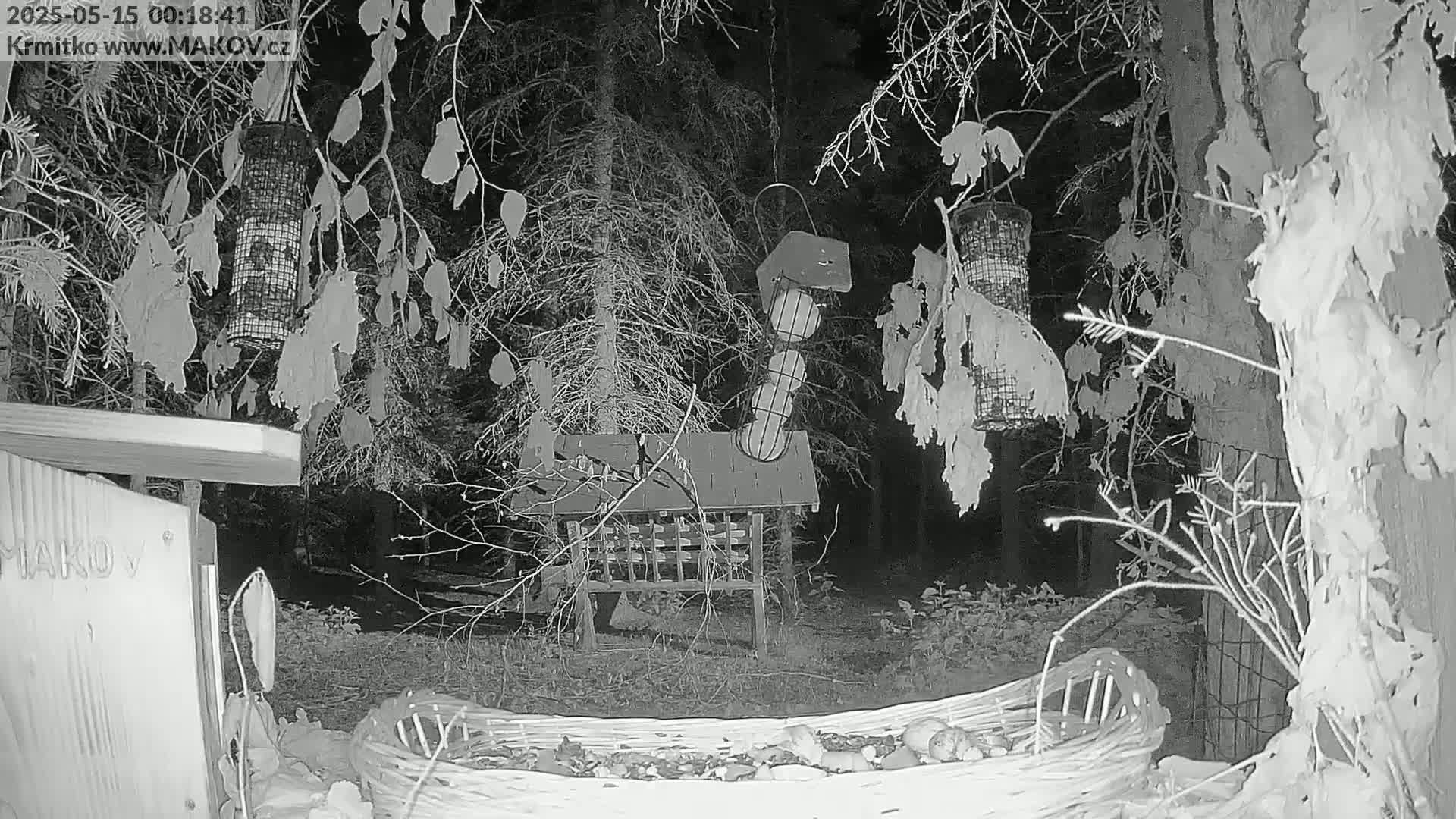 Pisek, Makov Animal Rescue Station Live Cam - Cizova, Pisek, Juhočeský Kraj (South Bohemian), Czechia