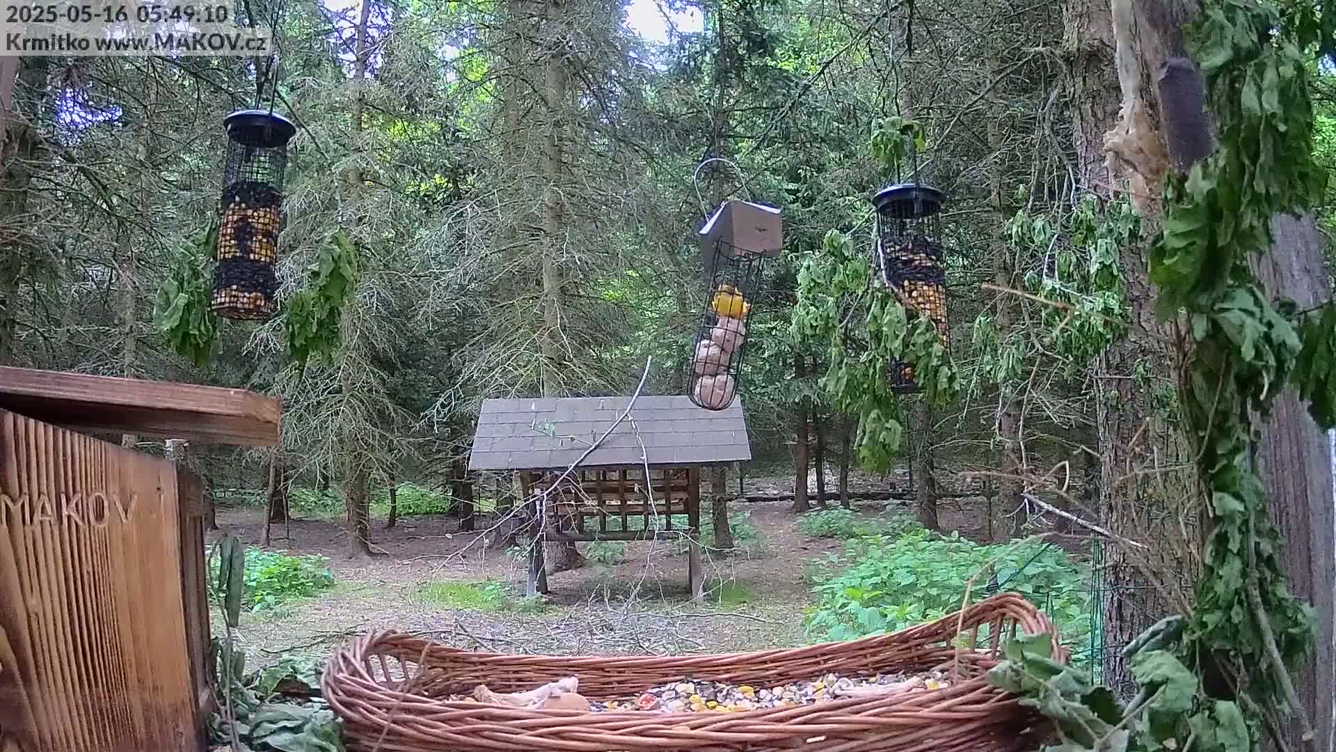 Pisek, Makov Animal Rescue Station Live Cam - Cizova, Pisek, Juhočeský Kraj (South Bohemian), Czechia