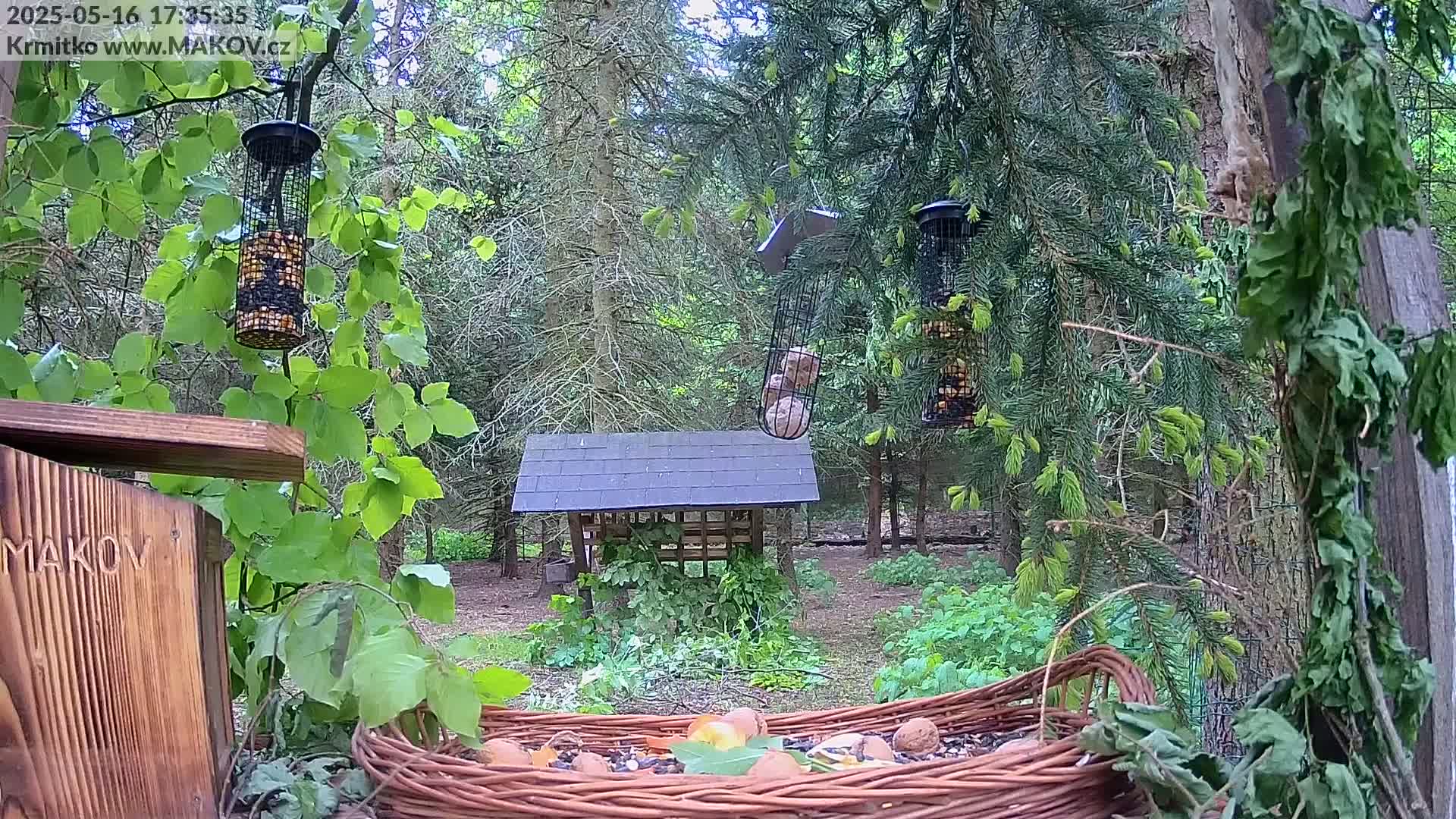A wicker basket filled with nuts and seeds sits in a wooded area near several bird feeders hanging from trees, under a small, covered feeding station.