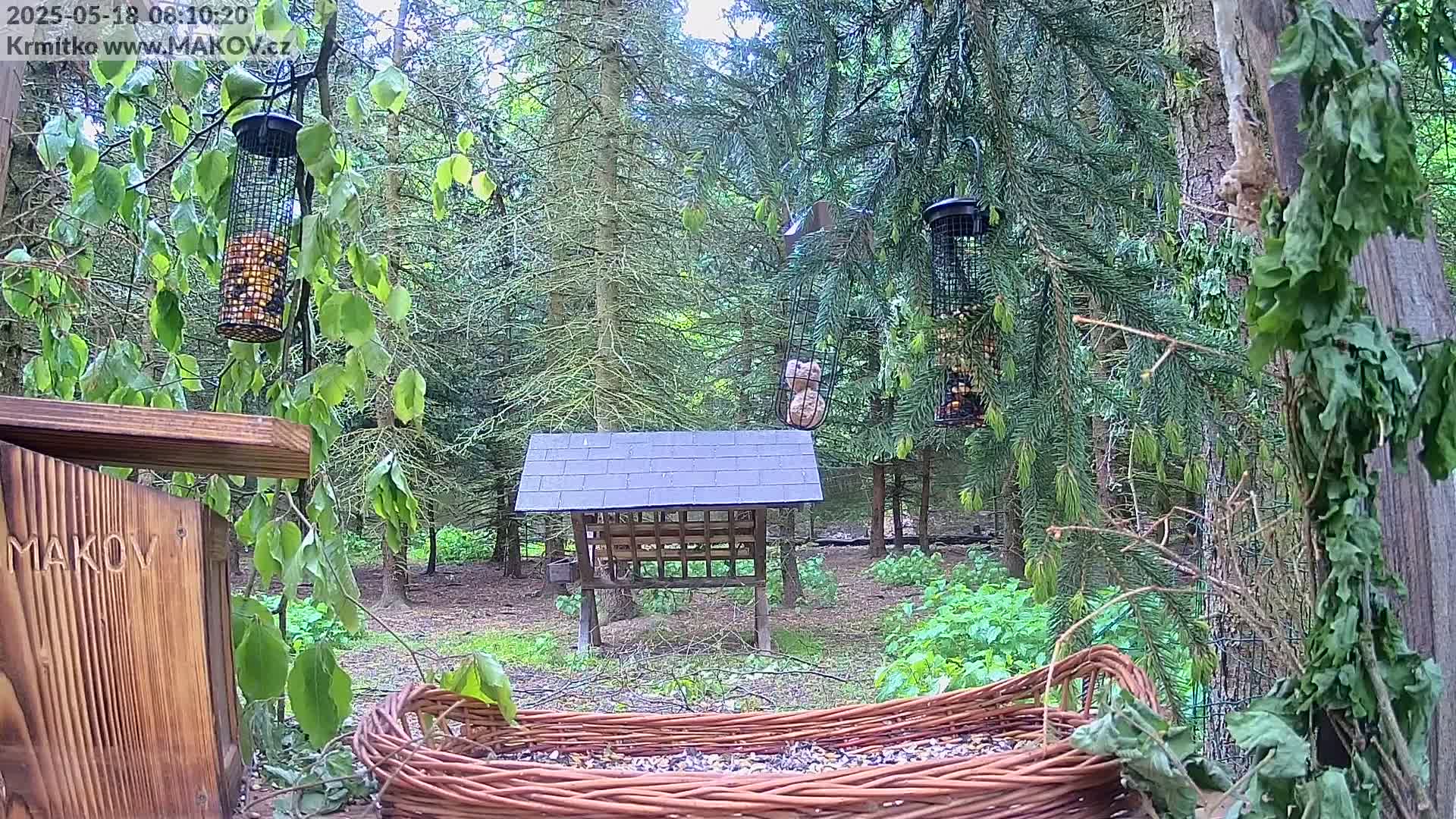 Pisek, Makov Animal Rescue Station Live Cam - Cizova, Pisek, Juhočeský Kraj (South Bohemian), Czechia