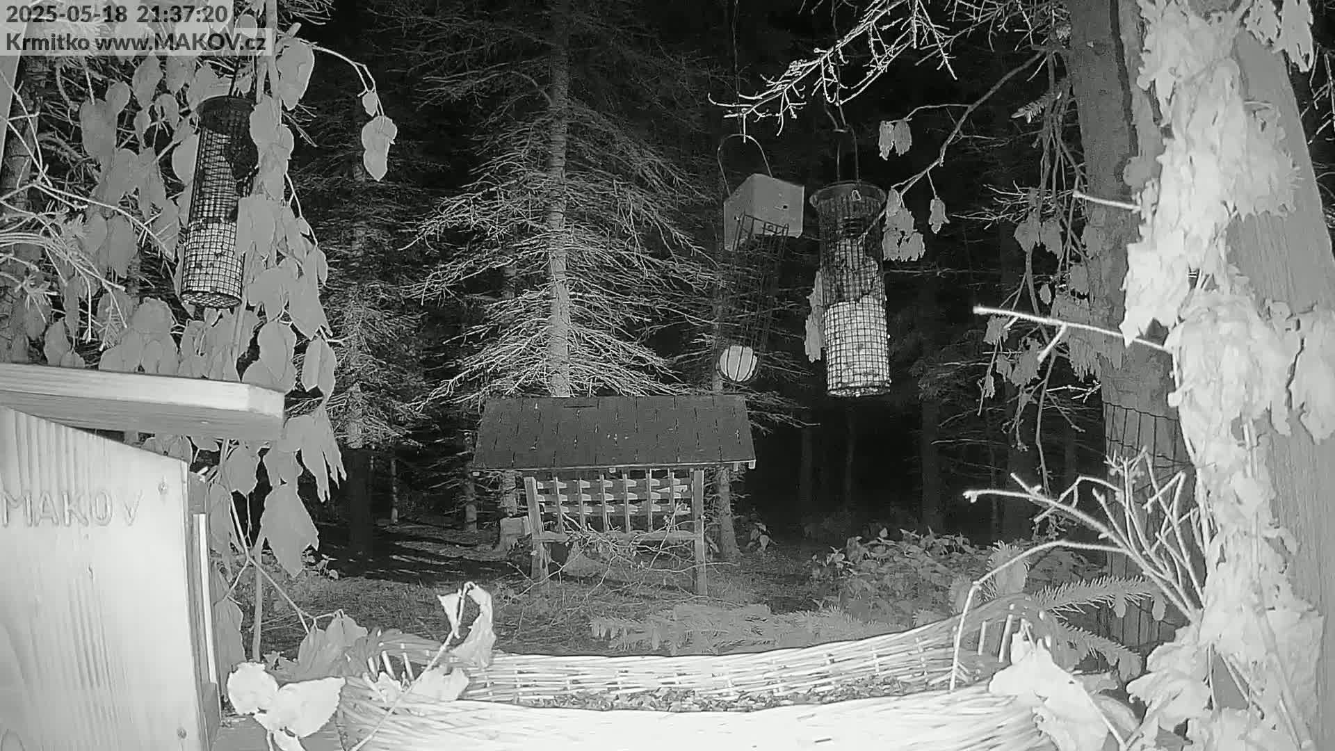 A nighttime, snow-covered scene shows several bird feeders hanging from trees and a bird feeder on a stand in a wooded area.