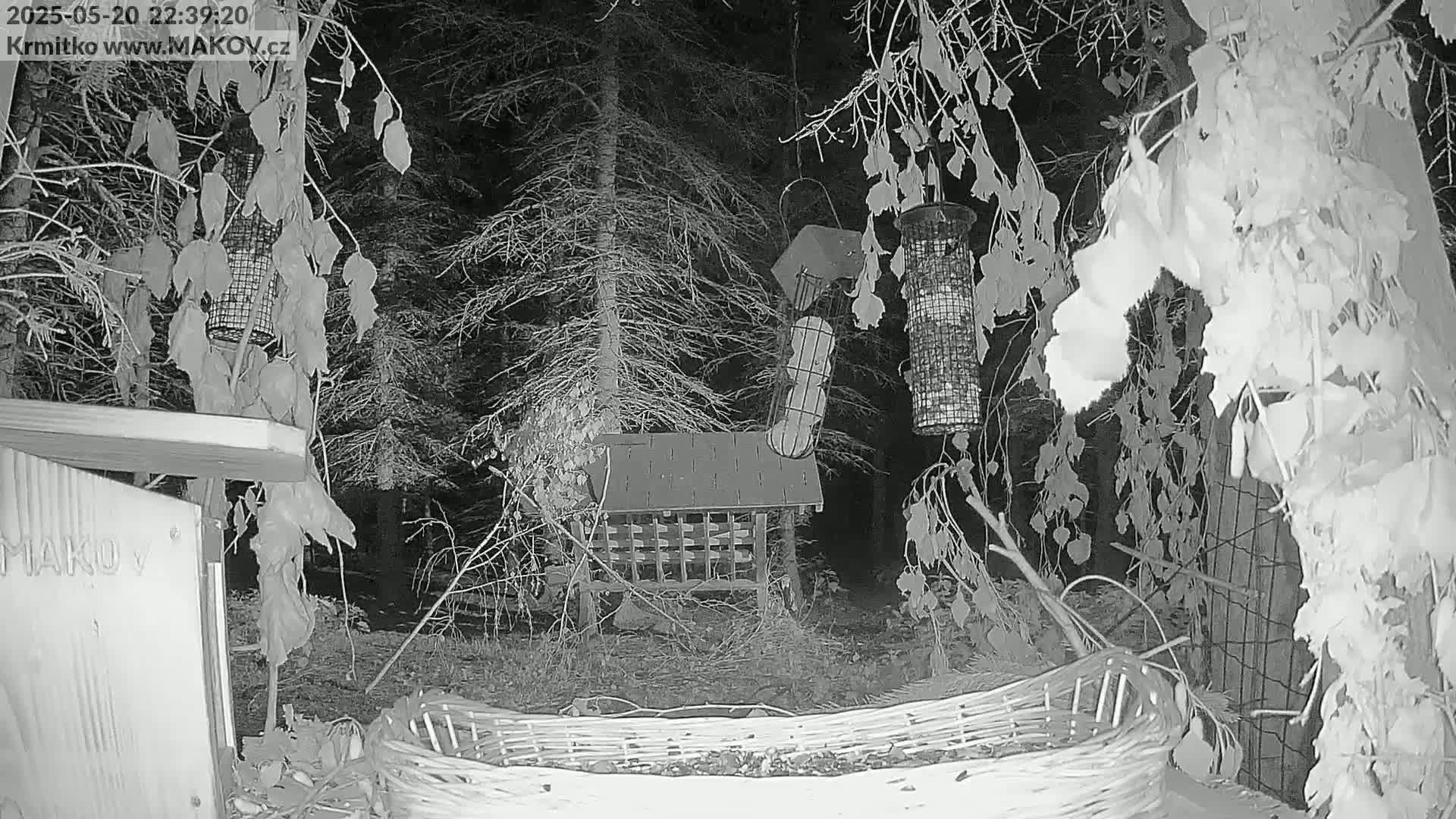 A nighttime, grayscale image shows a bird feeder and a birdhouse in a wooded area with bare branches and fallen leaves on the ground, illuminated by an infrared light source.