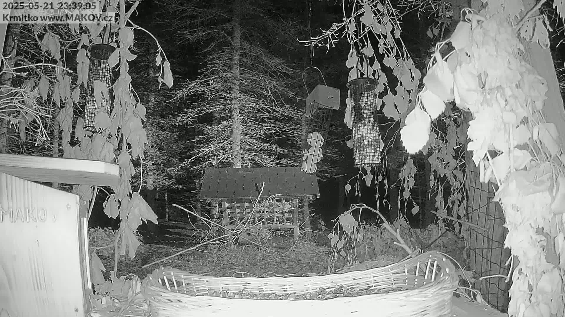 A nighttime, grayscale image shows several bird feeders and a birdhouse in a wooded area with snow on the ground, surrounded by leafless branches.