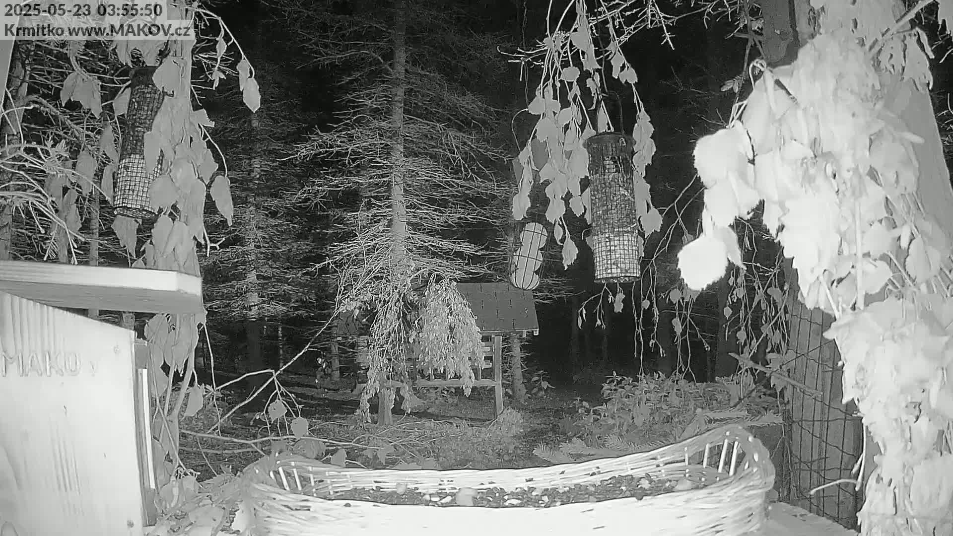 A nighttime, black-and-white view of a wooded area showing bird feeders, a small structure, and a woven basket on the ground.