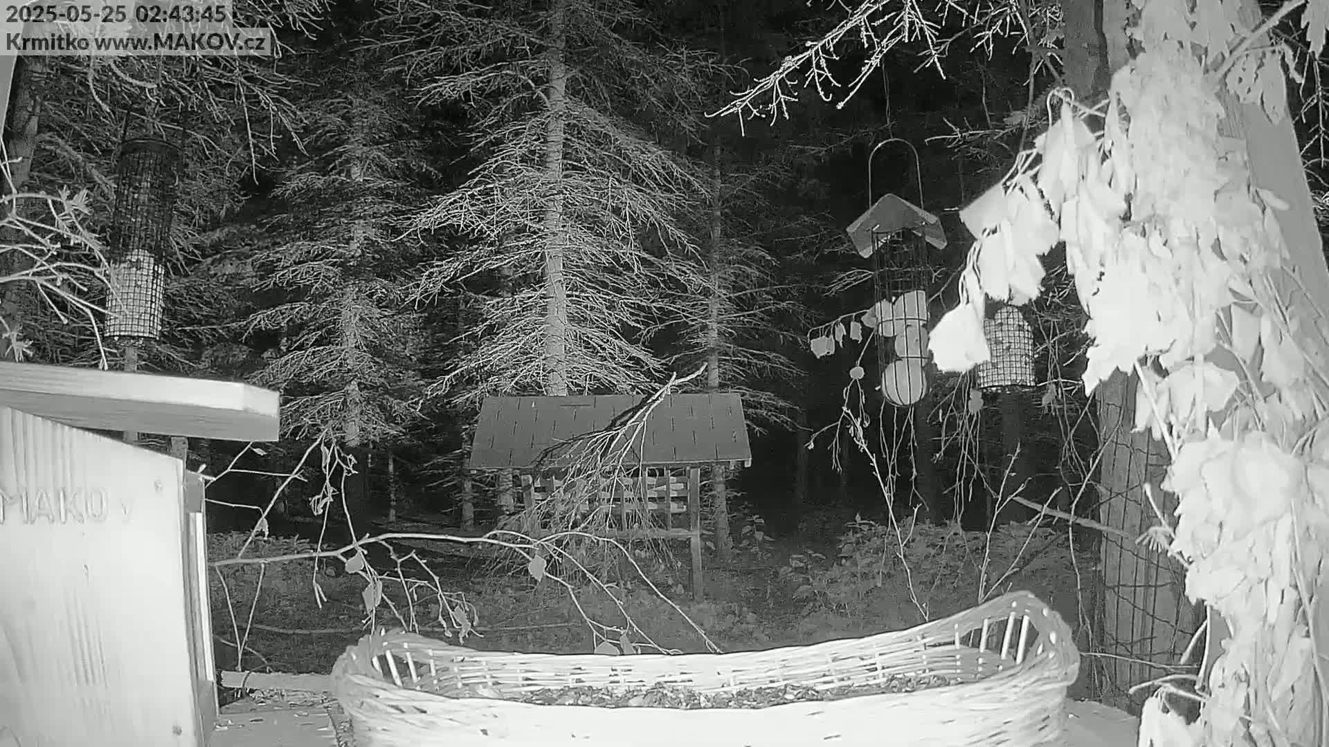 A nighttime, snowy scene shows several bird feeders and a woven basket in a wooded area.