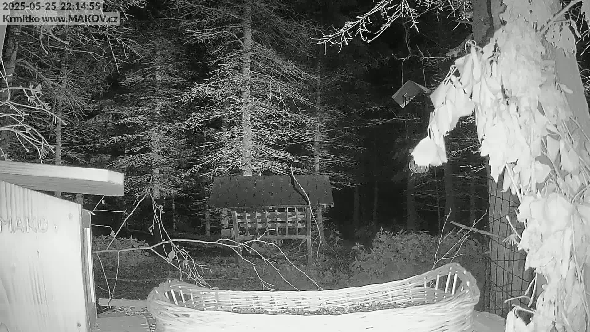 A nighttime, snowy scene shows a bird feeder and a woven basket filled with seeds in a wooded area.