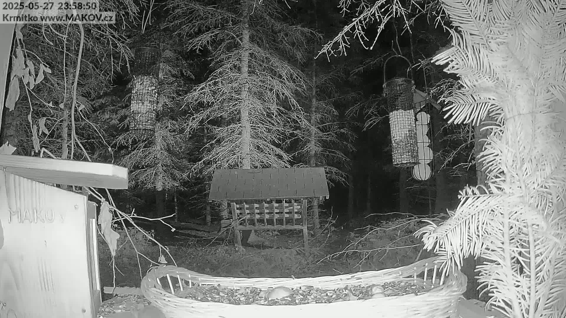 A nighttime, black and white image shows several bird feeders in a wooded area with a low-lying, woven basket filled with seeds in the foreground.
