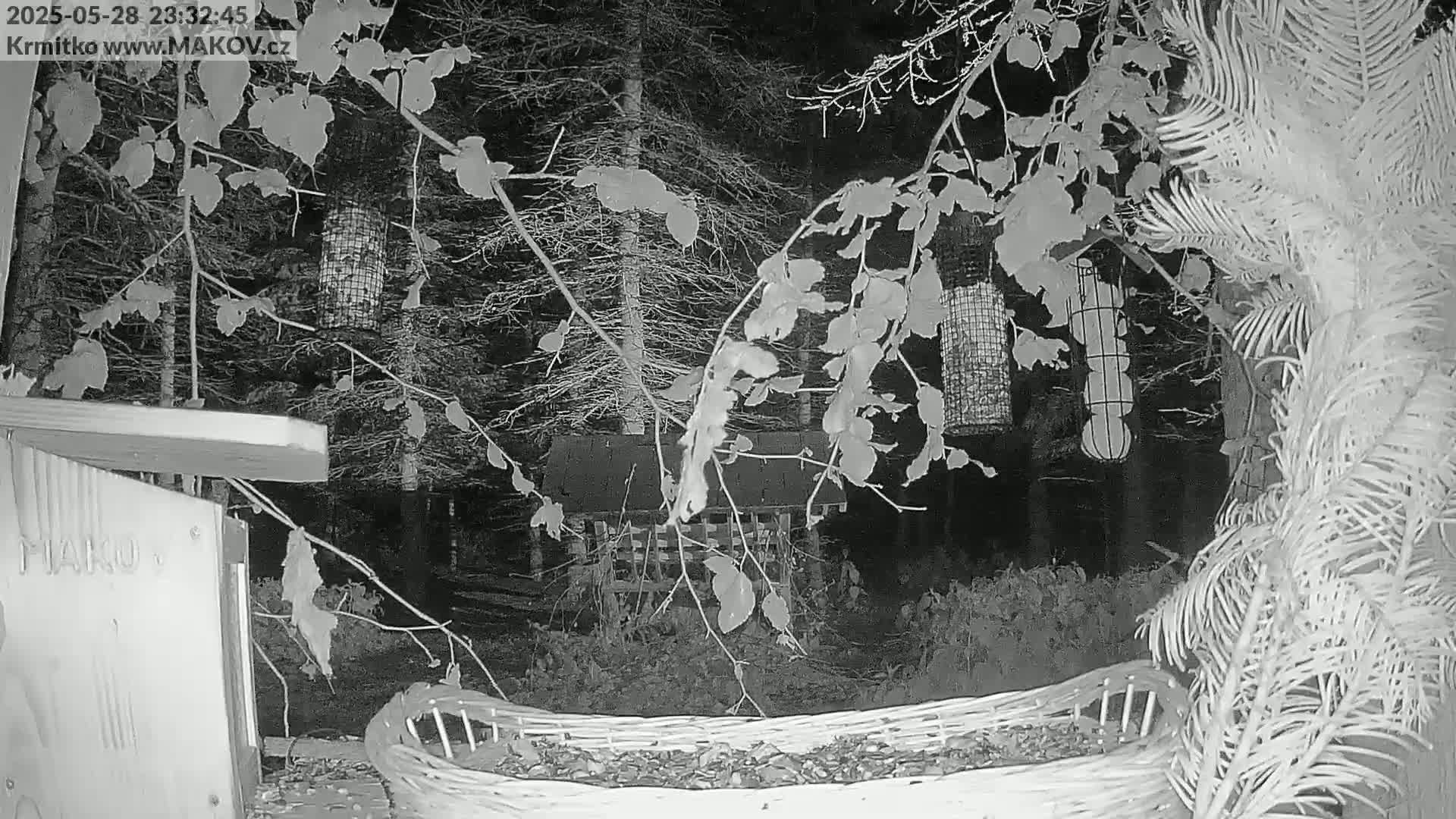 A nighttime, black-and-white image shows a wooded area with several bird feeders and a wicker basket filled with debris in the foreground, partially obscured by tree branches.
