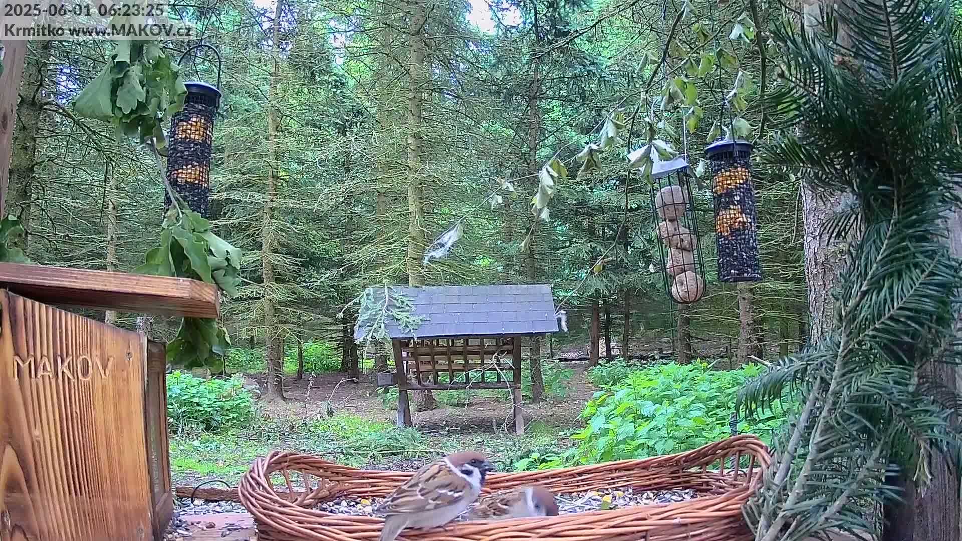 Pisek, Makov Animal Rescue Station Live Cam - Cizova, Pisek, Juhočeský Kraj (South Bohemian), Czechia