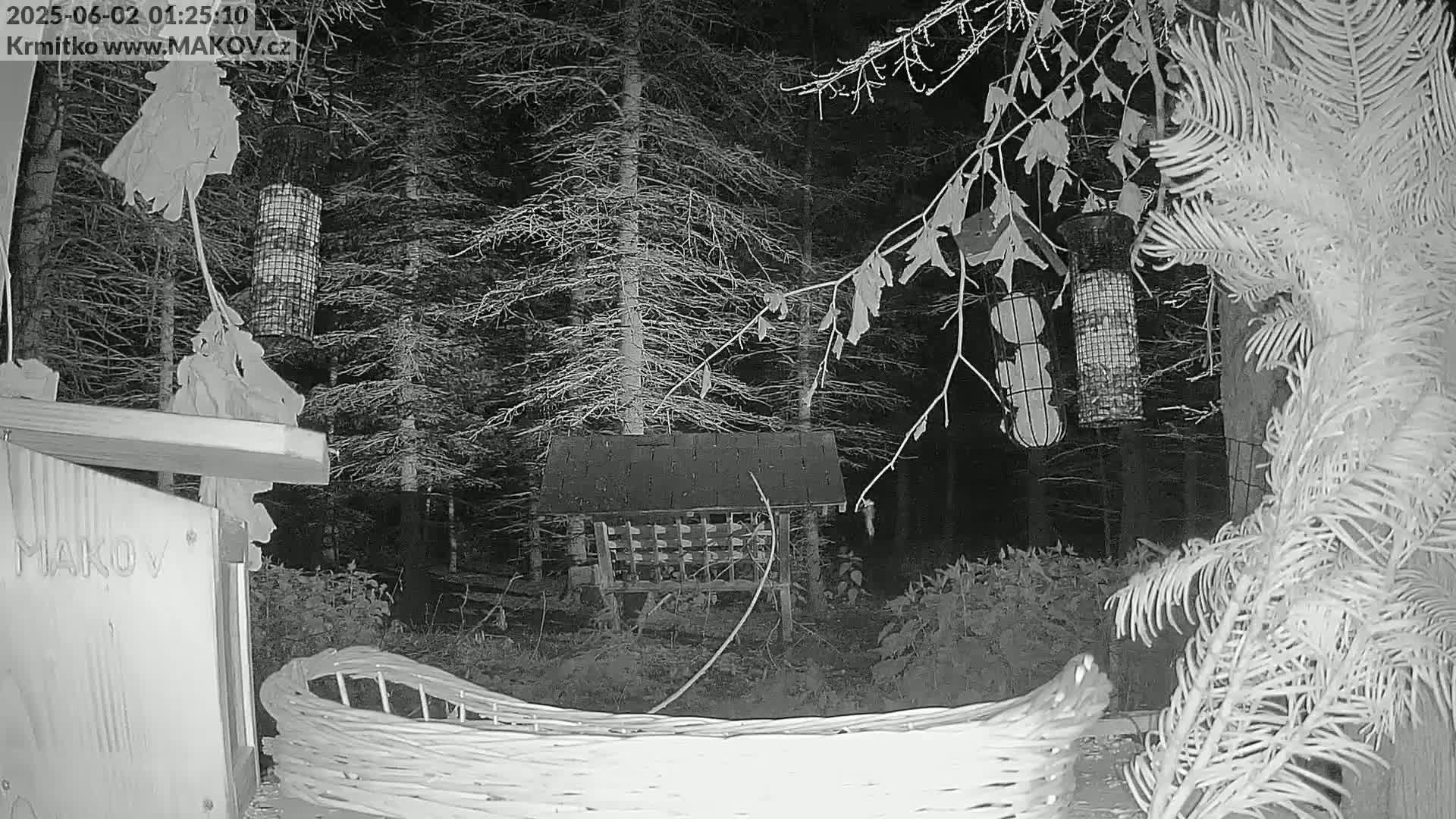 A nighttime, grayscale image shows several bird feeders hanging from trees in a wooded area, with a large woven basket in the foreground.