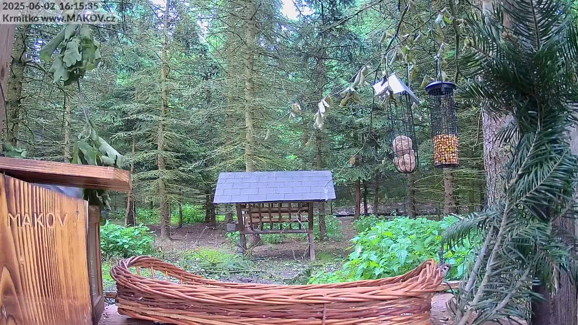 A wooded area with two bird feeders, a small wooden shelter, and a wicker basket, under a partly cloudy sky.