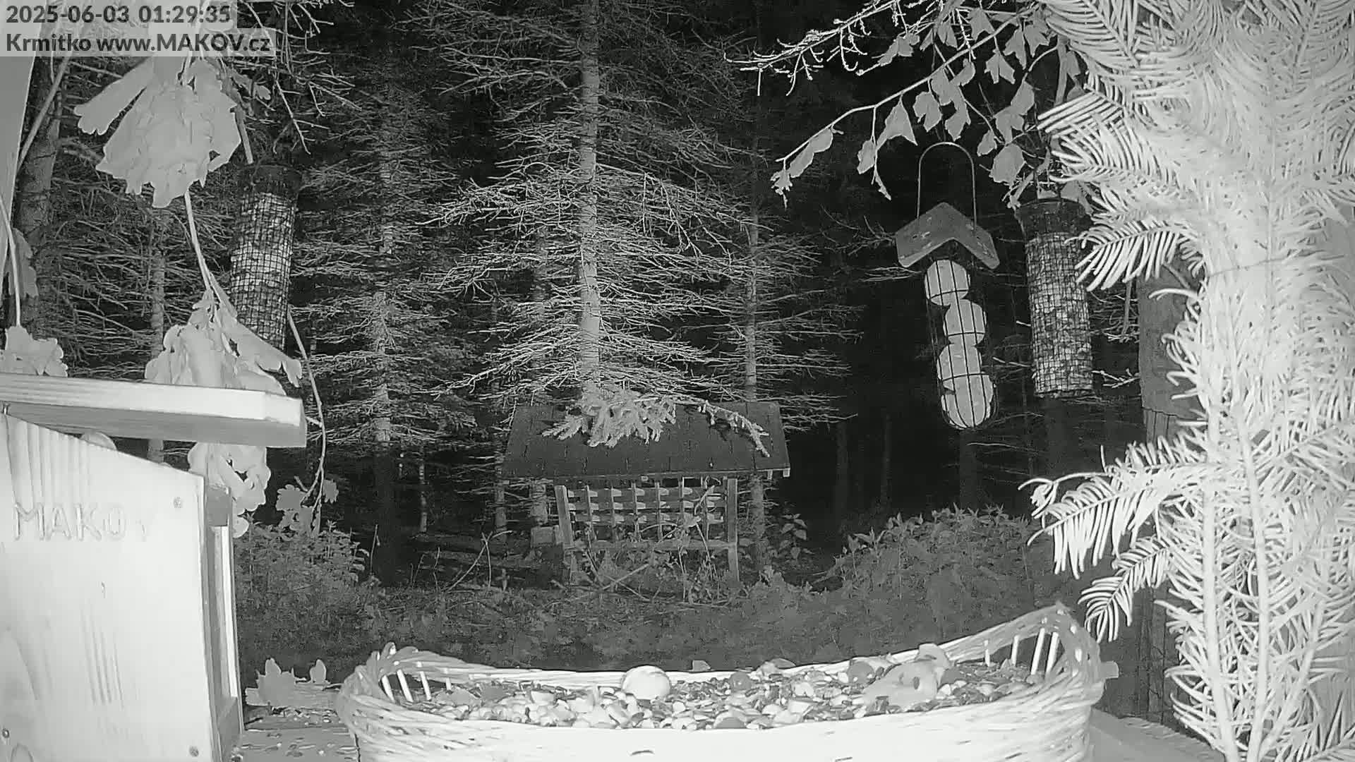 Pisek, Makov Animal Rescue Station Live Cam - Cizova, Pisek, Juhočeský Kraj (South Bohemian), Czechia