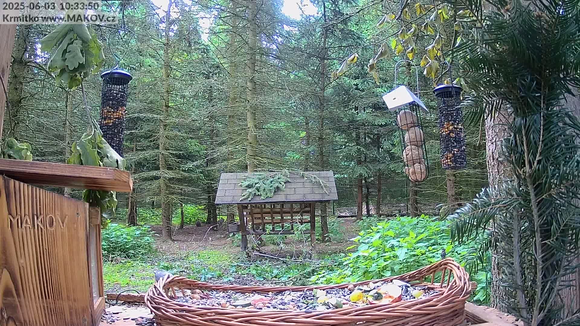 A wicker basket filled with birdseed sits in the foreground, with several bird feeders hanging from trees in a wooded area under a partly sunny sky.