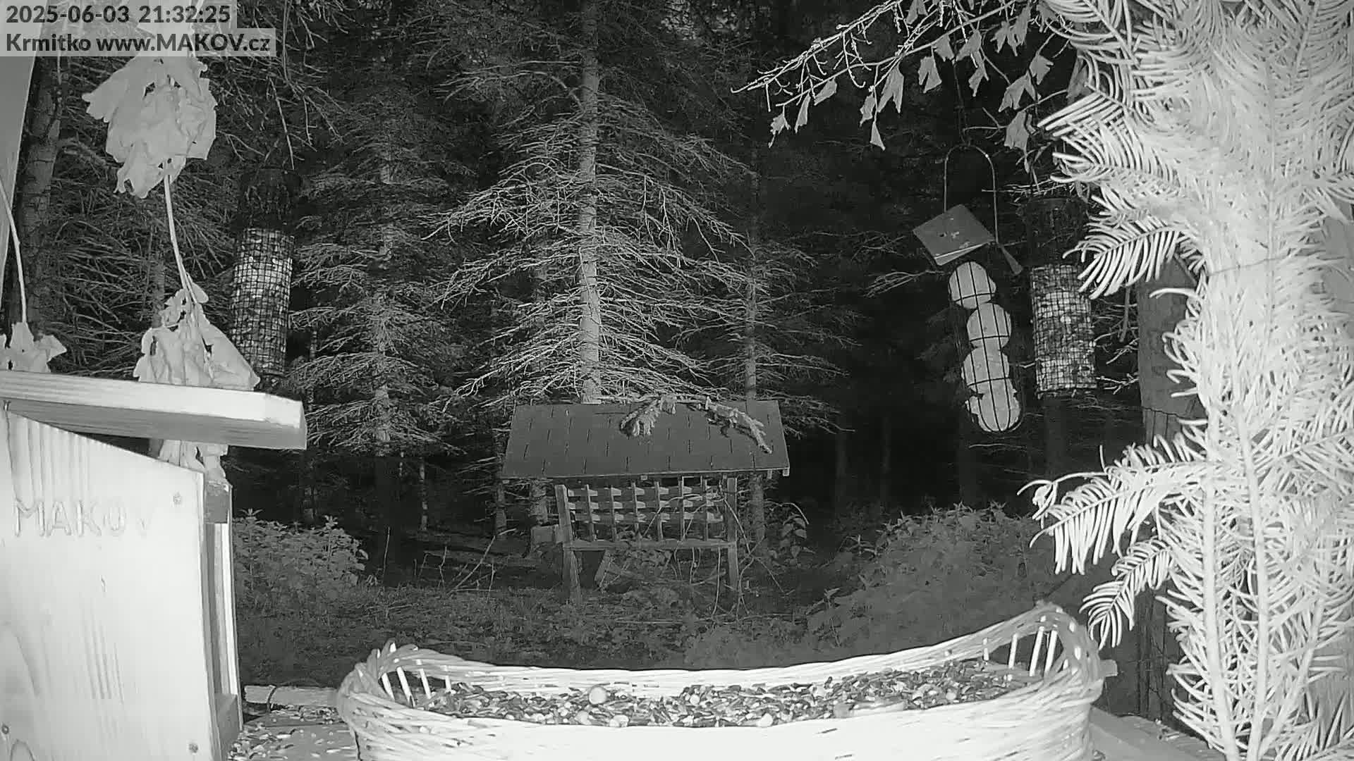 A nighttime, black-and-white view of a wooded area shows various bird feeders, a large basket of seeds, and a wooden structure.