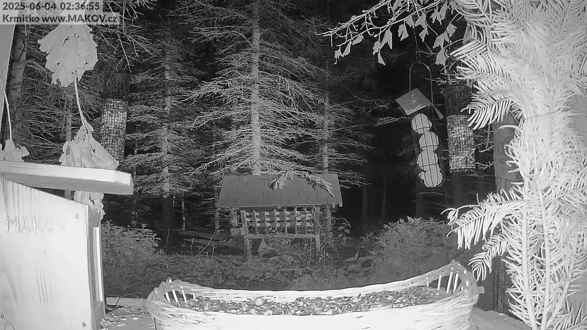 Pisek, Makov Animal Rescue Station Live Cam - Cizova, Pisek, Juhočeský Kraj (South Bohemian), Czechia