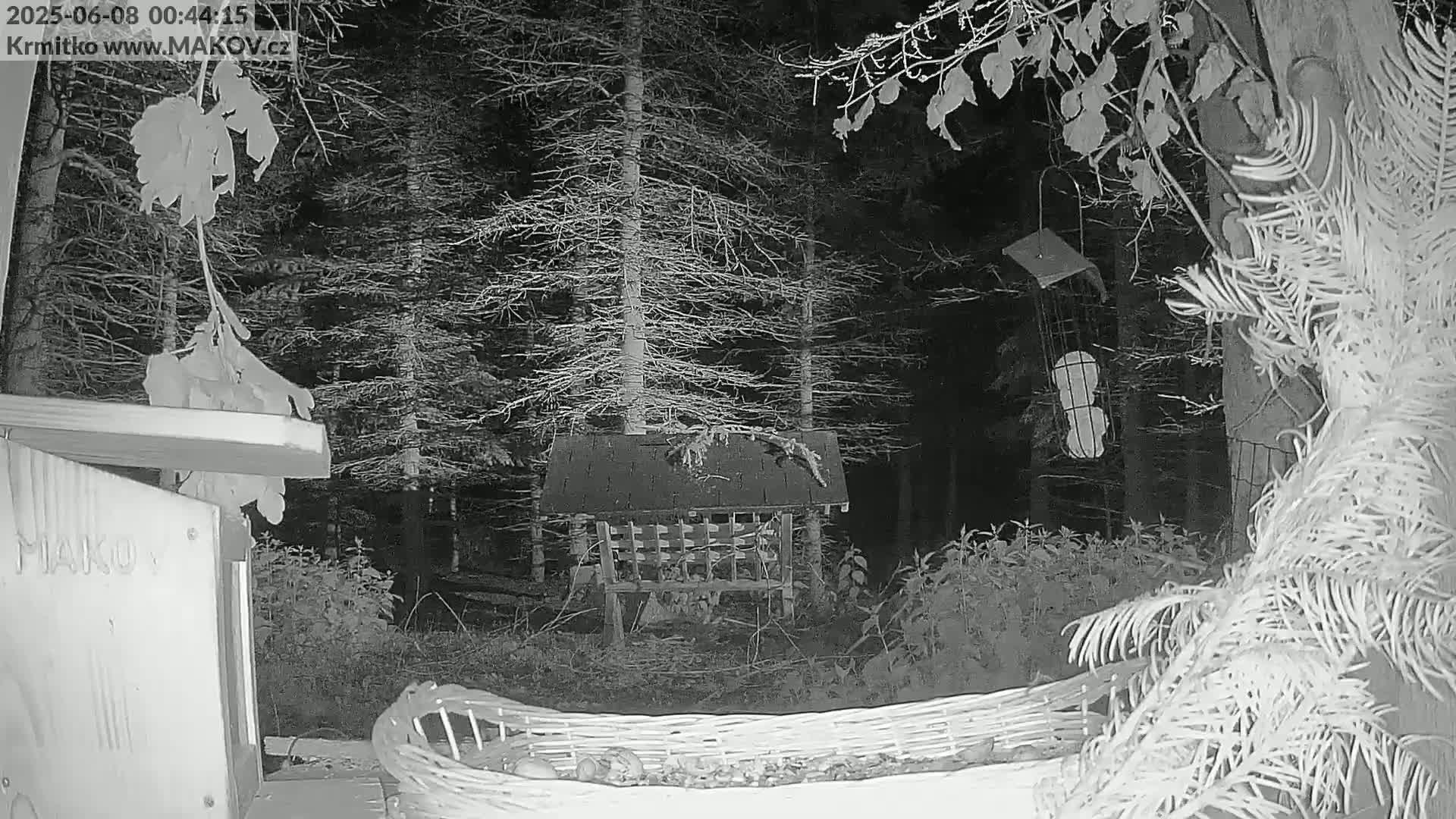A nighttime, grayscale image shows a bird feeder in a wooded area, with a wicker basket and part of a wooden structure visible in the foreground.