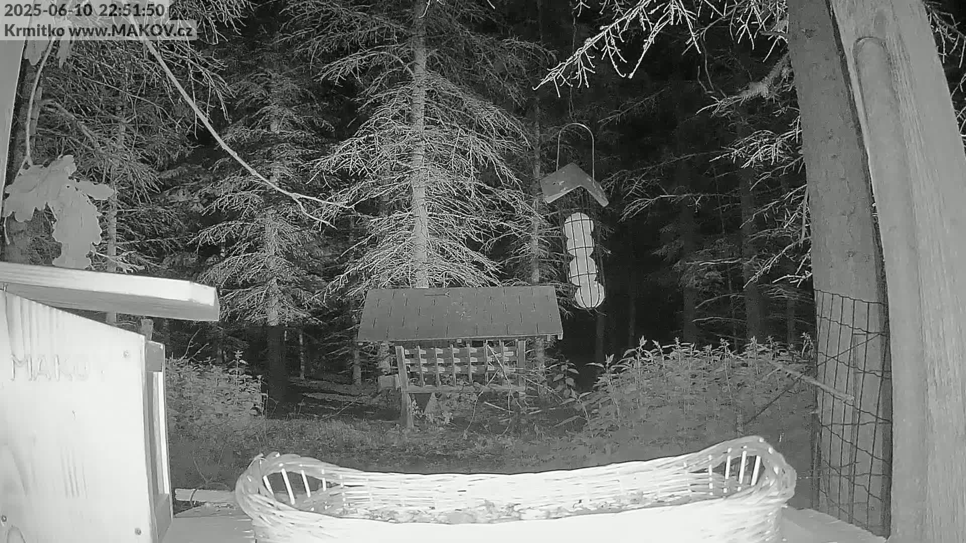 Pisek, Makov Animal Rescue Station Live Cam - Cizova, Pisek, Juhočeský Kraj (South Bohemian), Czechia