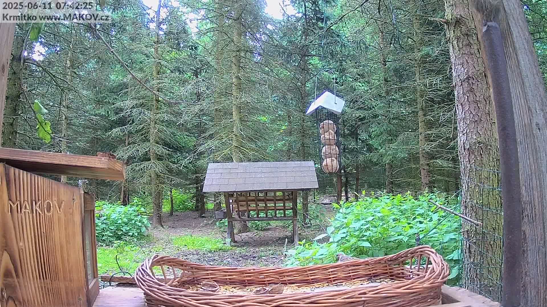 Pisek, Makov Animal Rescue Station Live Cam - Cizova, Pisek, Juhočeský Kraj (South Bohemian), Czechia