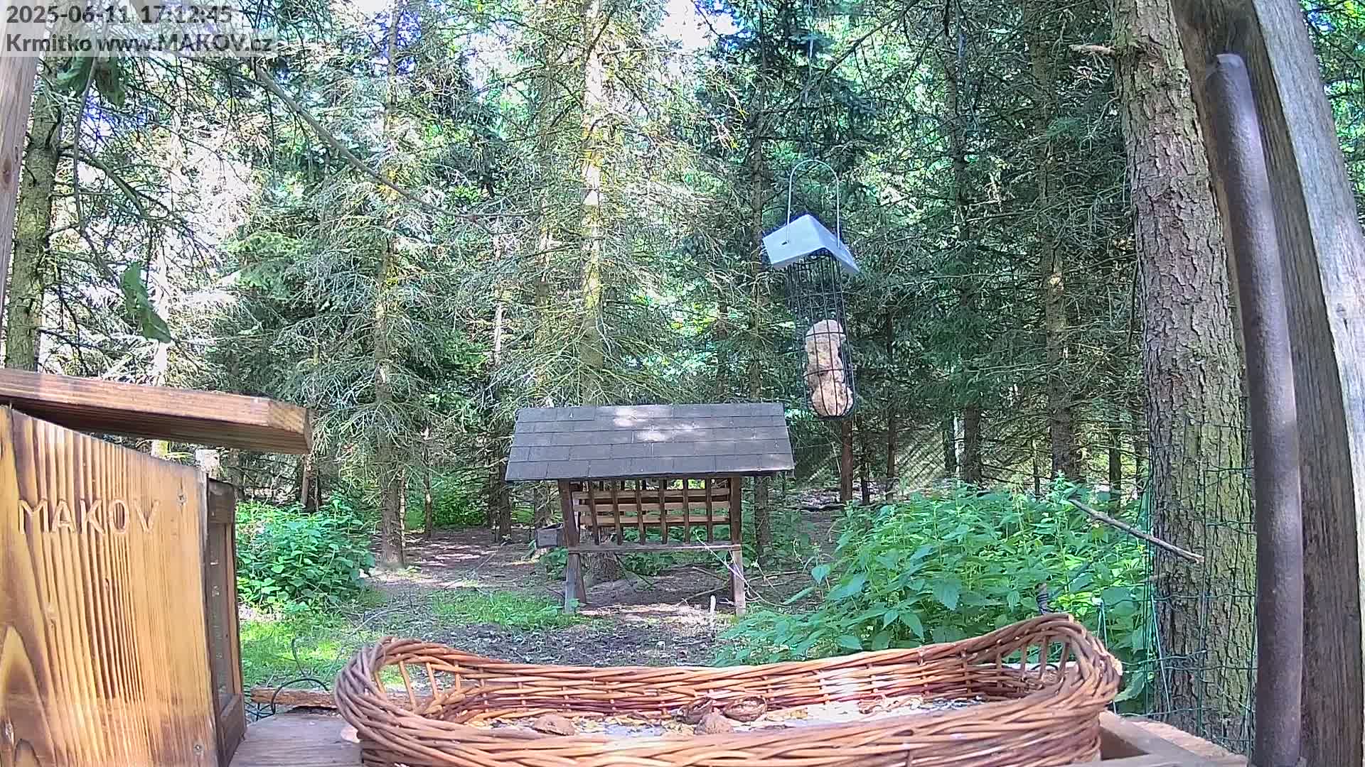 A wicker basket filled with birdseed sits in the foreground of a sunny woodland scene, with various bird feeders and wooden structures visible in the background.