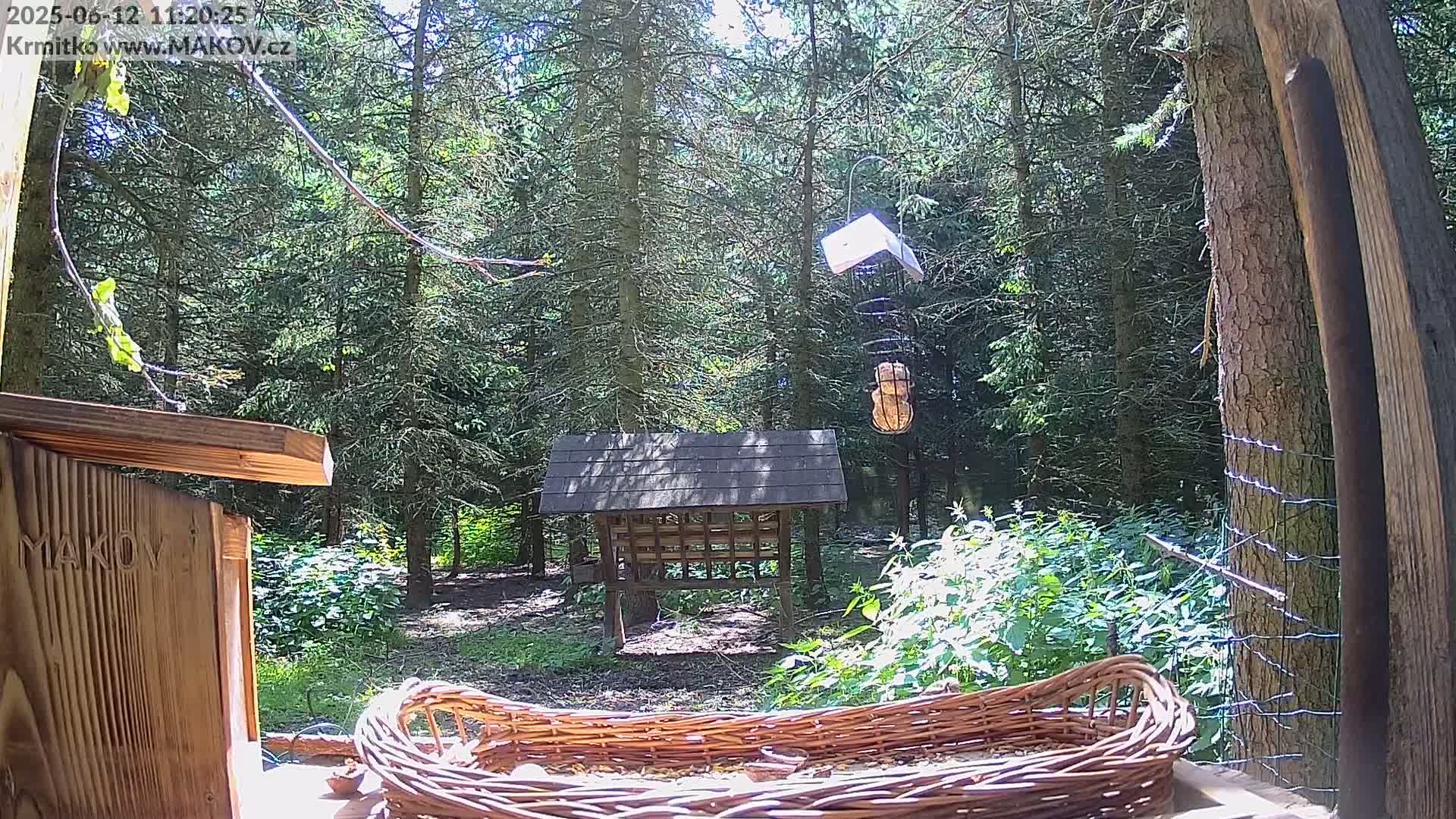 A sunny woodland scene shows various bird feeders, including a wicker basket filled with seeds, a wooden birdhouse, and a hanging peanut feeder.