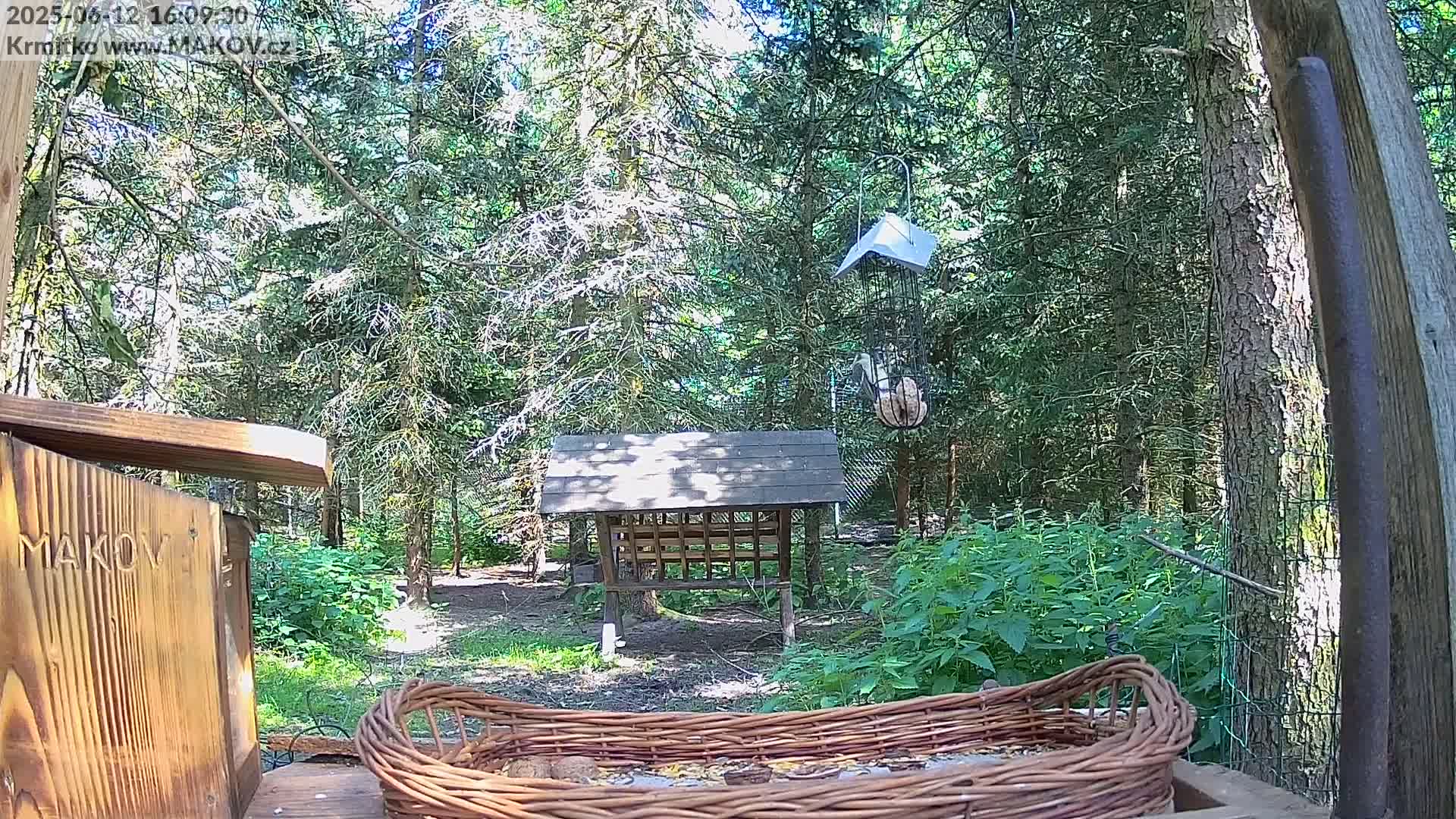 A sunny woodland scene shows various bird feeders, including a hanging wire feeder and a wooden ground feeder, with a wicker basket in the foreground containing nuts.