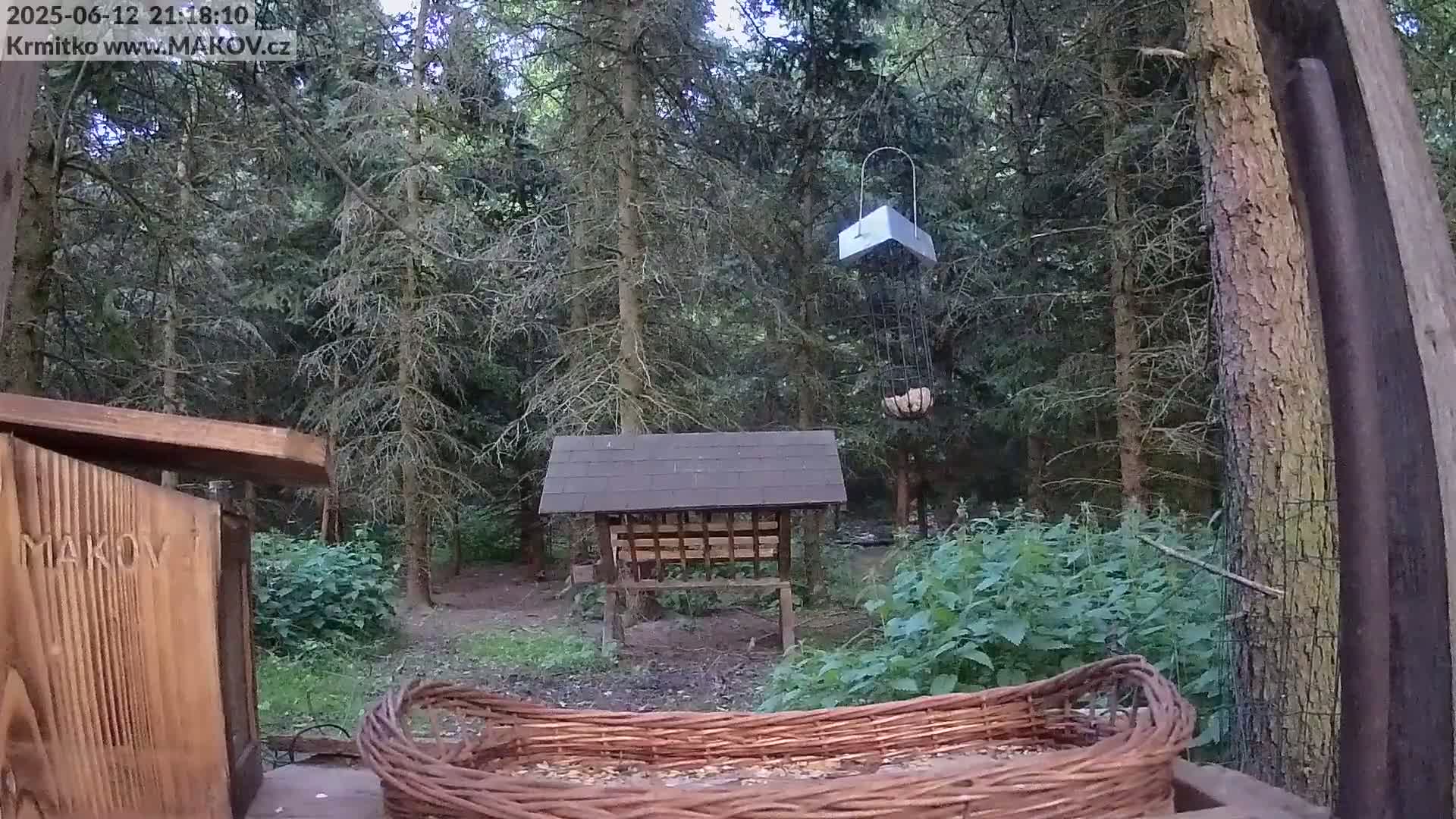 Pisek, Makov Animal Rescue Station Live Cam - Cizova, Pisek, Juhočeský Kraj (South Bohemian), Czechia