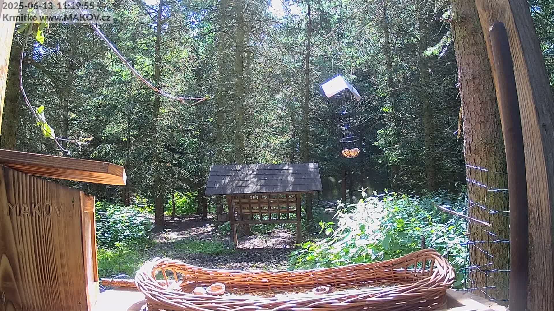 A sunny woodland scene with various bird feeders, including a wicker basket filled with seeds and a hanging wire feeder, is visible from a wooden birdhouse.