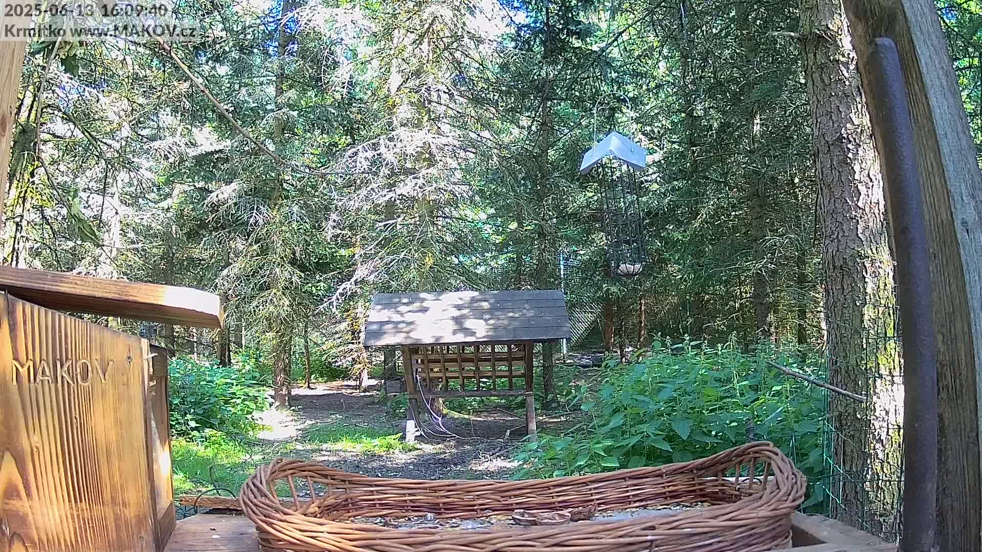 A sunny woodland scene features a wooden birdhouse, a bird feeder hanging from a tree, a small wooden shelter, and a wicker basket filled with birdseed.