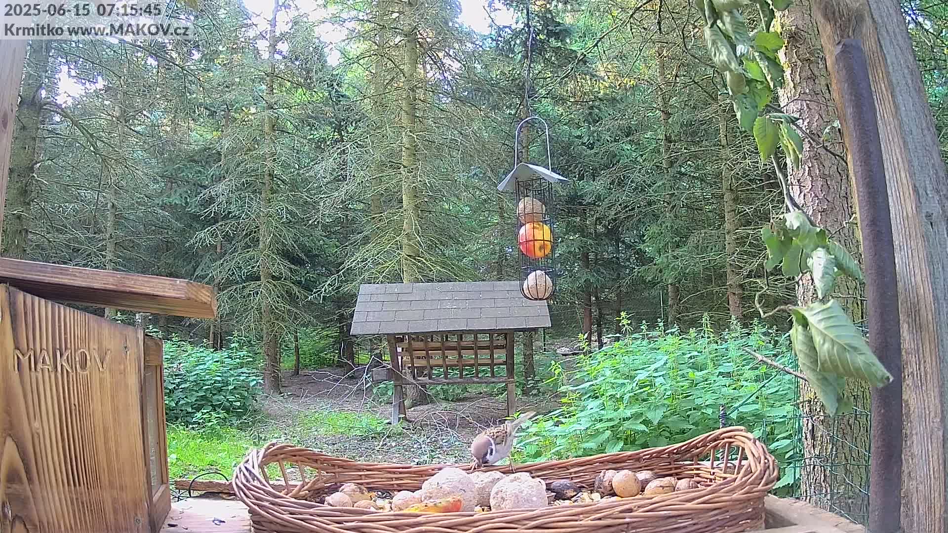 Pisek, Makov Animal Rescue Station Live Cam - Cizova, Pisek, Juhočeský Kraj (South Bohemian), Czechia